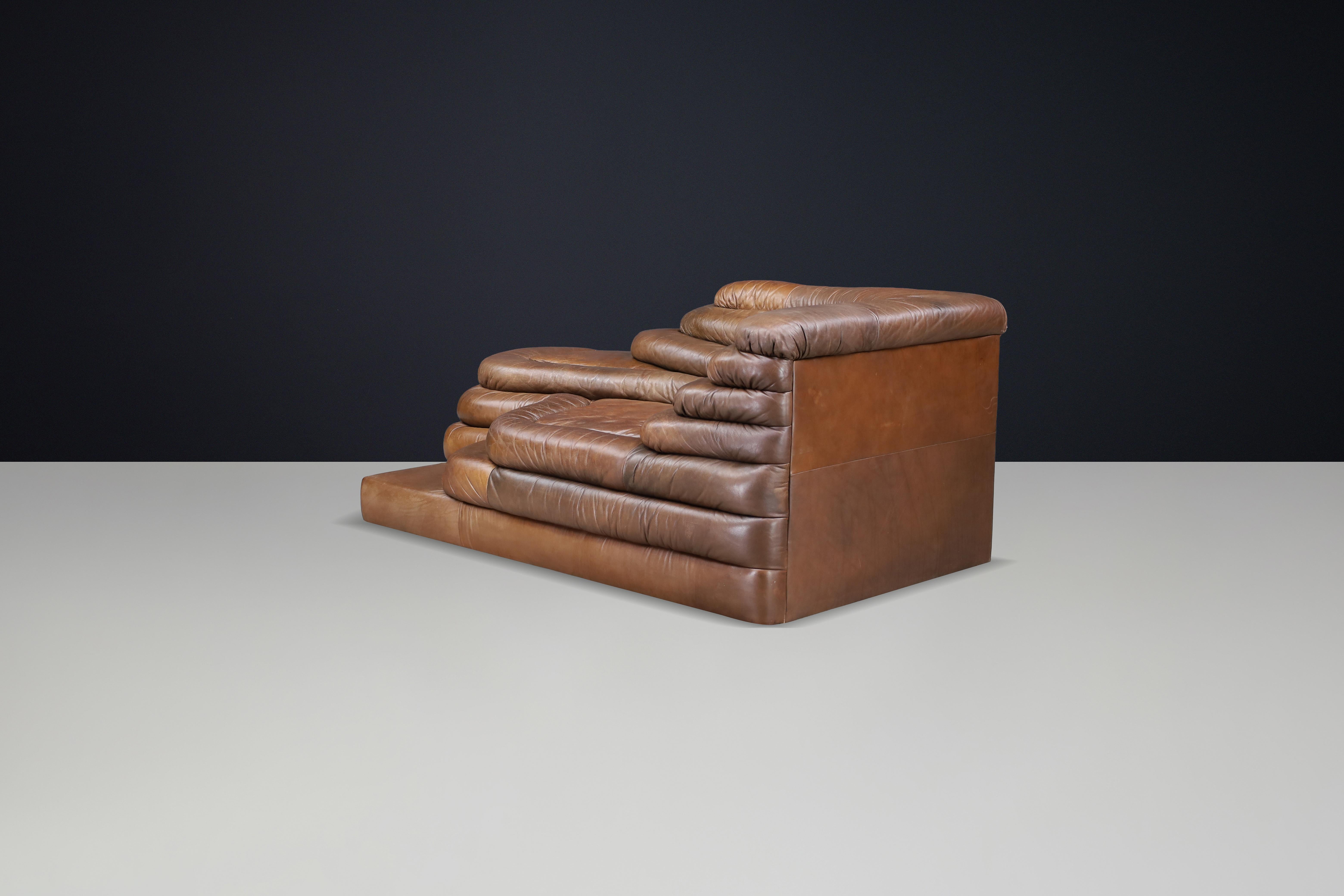 Ubald Klug für De Sede - DS-1025 