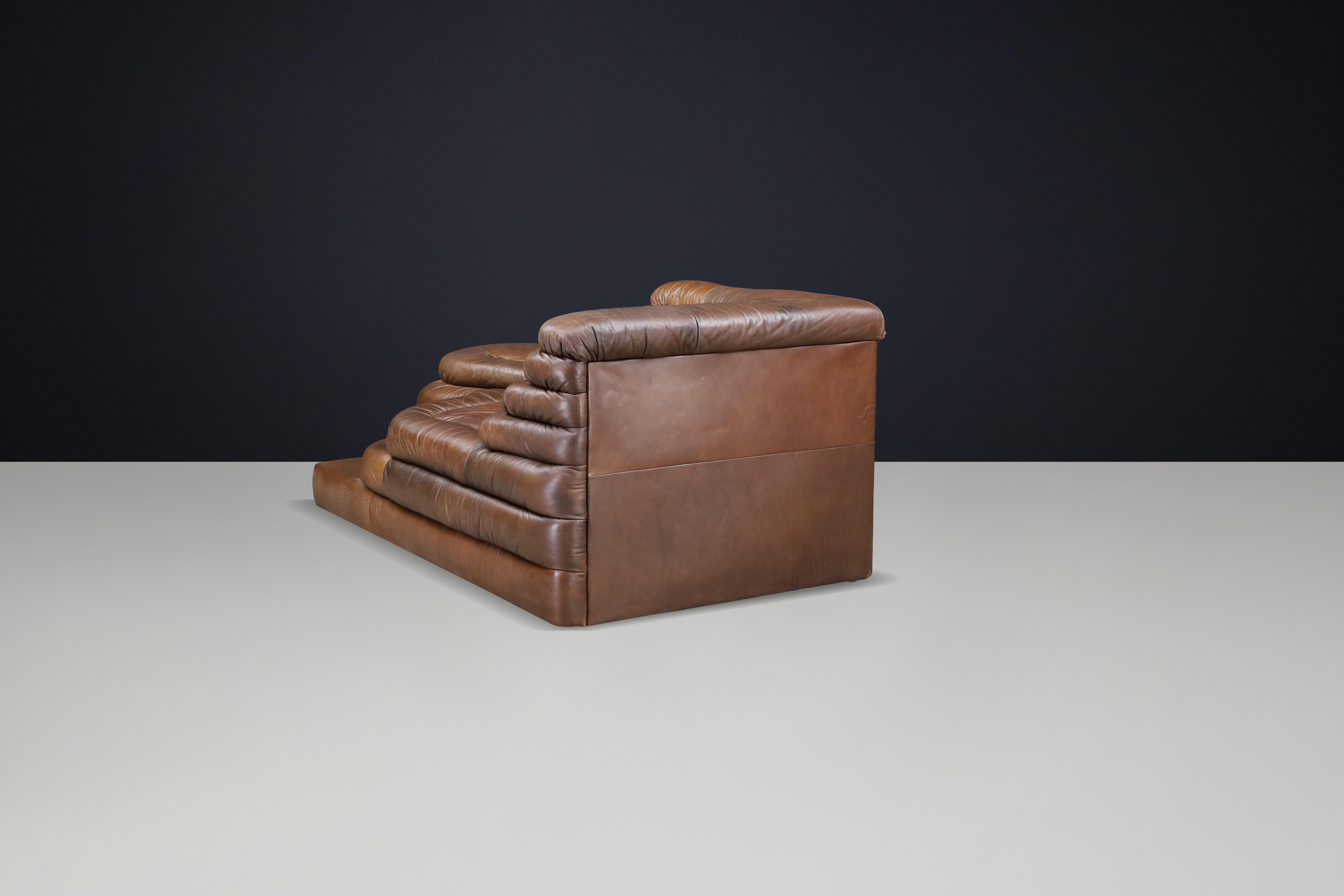 Ubald Klug für De Sede - DS-1025 