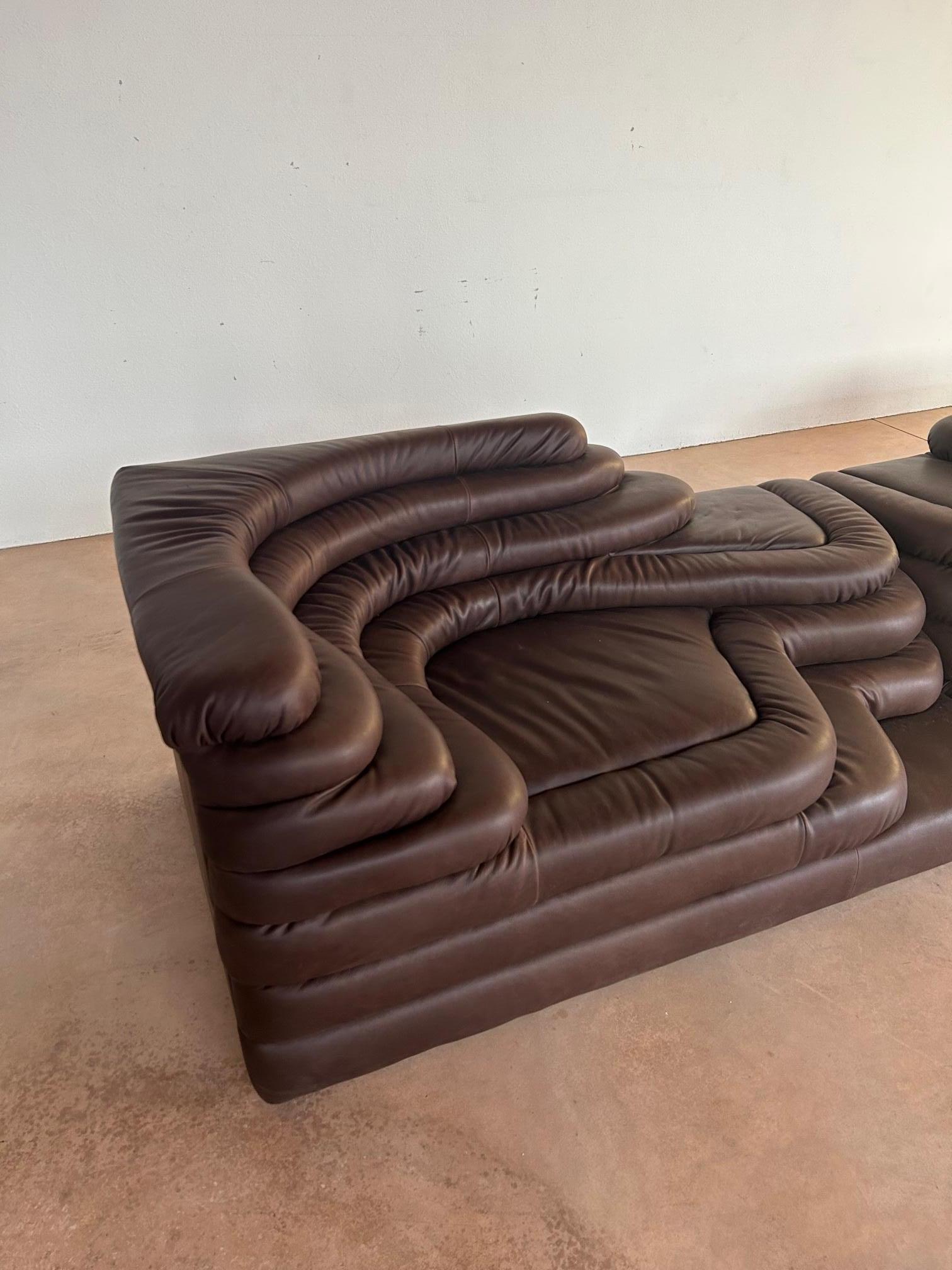 A pair of DS-125 Terrazza sofa in dark brown leather designed by Ubald Klug for De Sede in the seventies. The shapes inspired by nature of this sofa combined with the great quality of construction make it a real seat work of art. 

