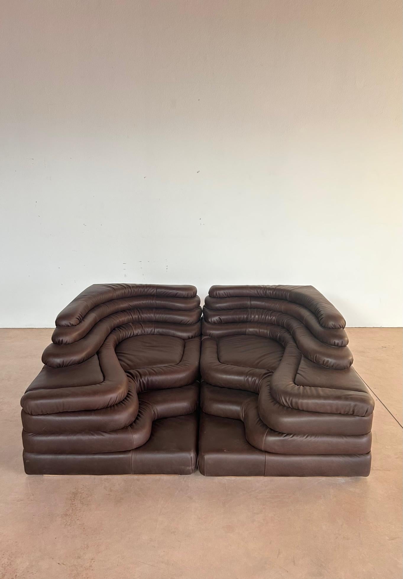 Ubald Klug for De Sede Pair of 'Terrazza' Landscapes in Brown Leather For Sale 2