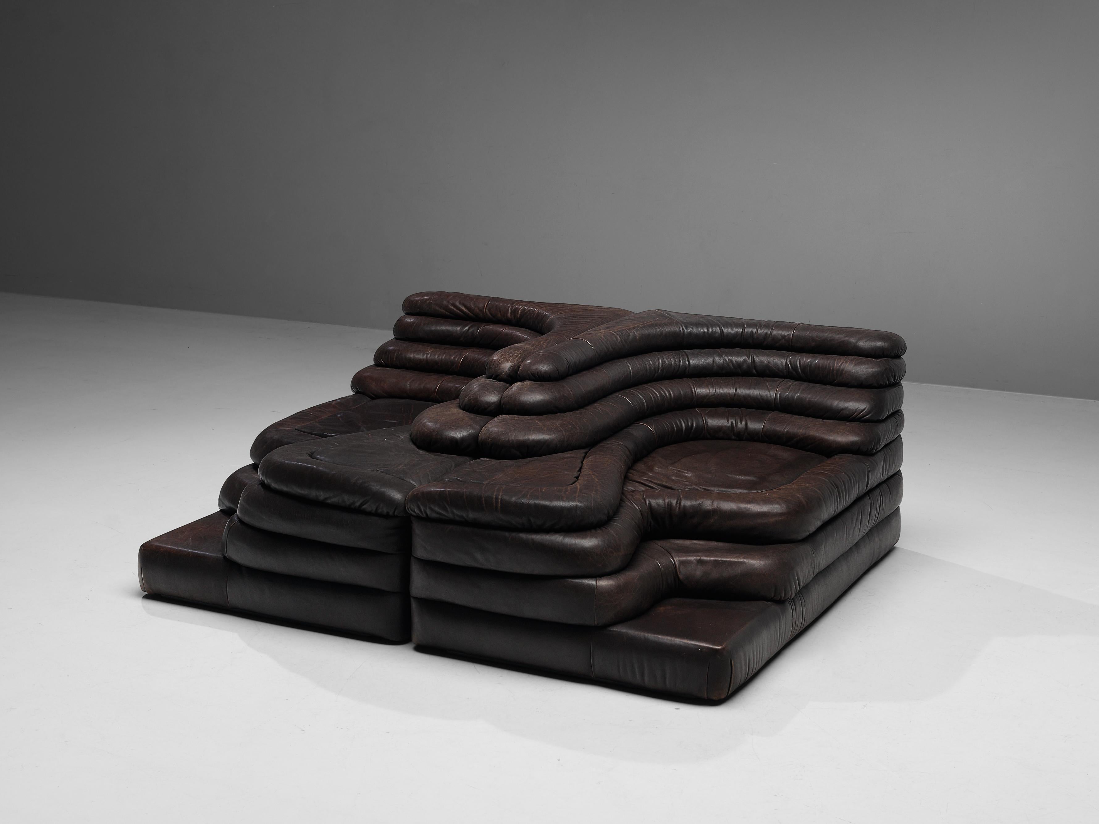 Ubald Klug for De Sede Pair of Terrazza Landscapes in Patinated Original Leather 4