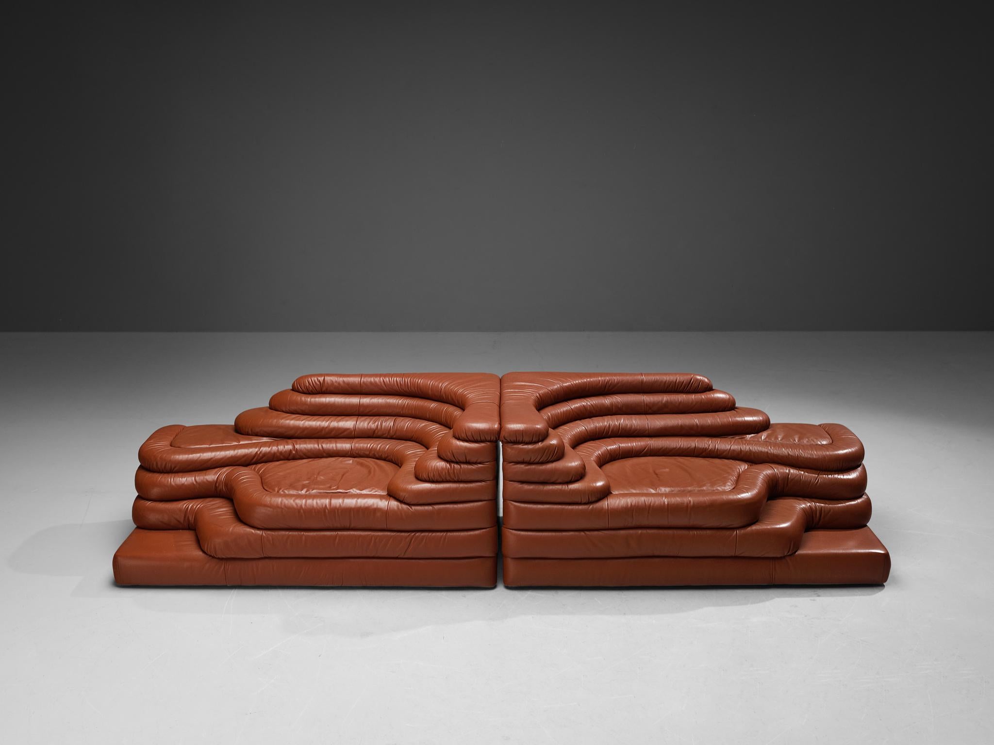Post-Modern Ubald Klug for De Sede Pair of 'Terrazza' Landscapes in Red Leather