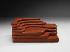 Ubald Klug for De Sede 'Terrazza' Landscape in Red Brown Leather