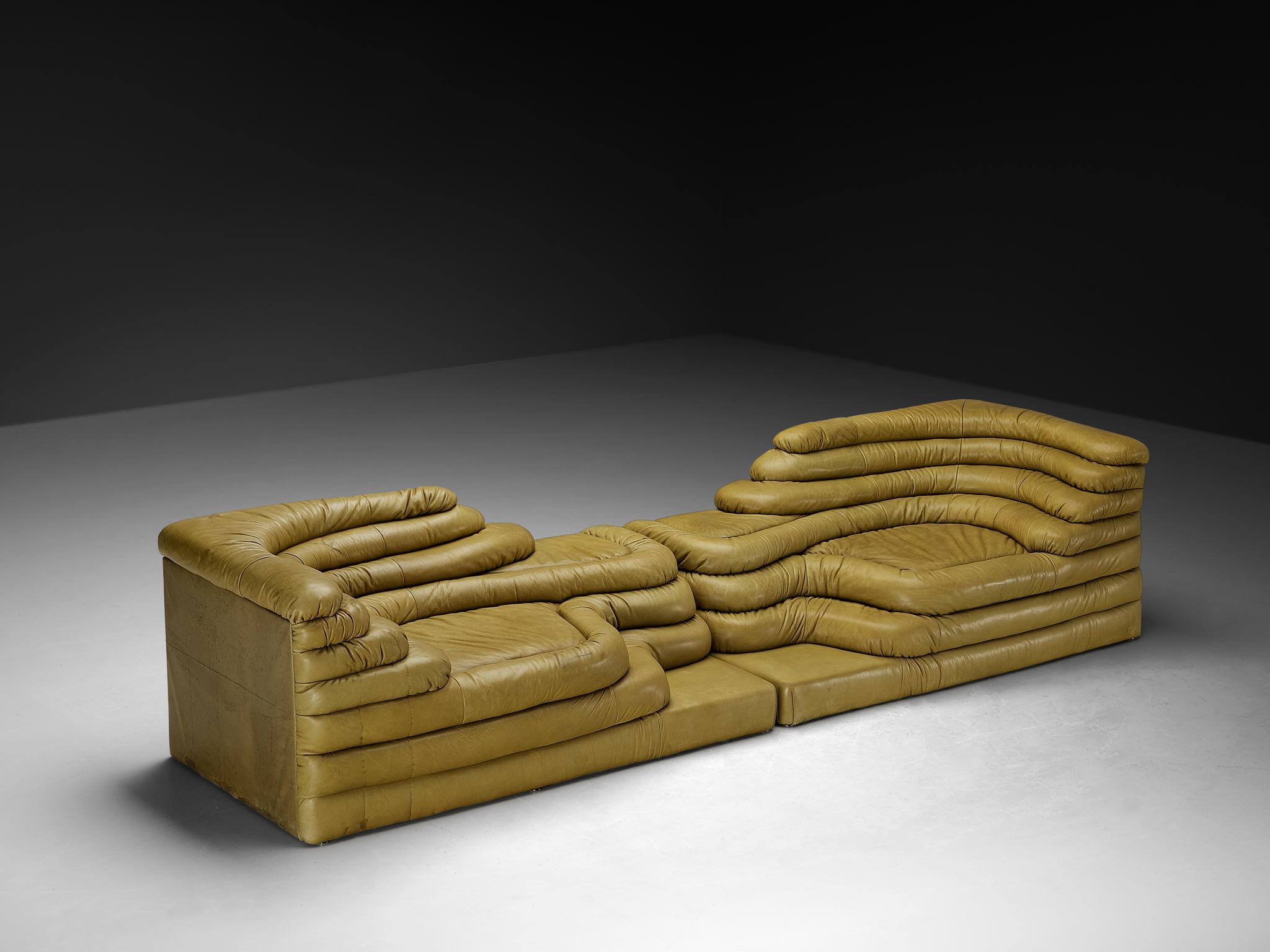 Ubald Klug für De Sede 'Terrazza' Landschaften aus olivgrünem Leder im Angebot 1
