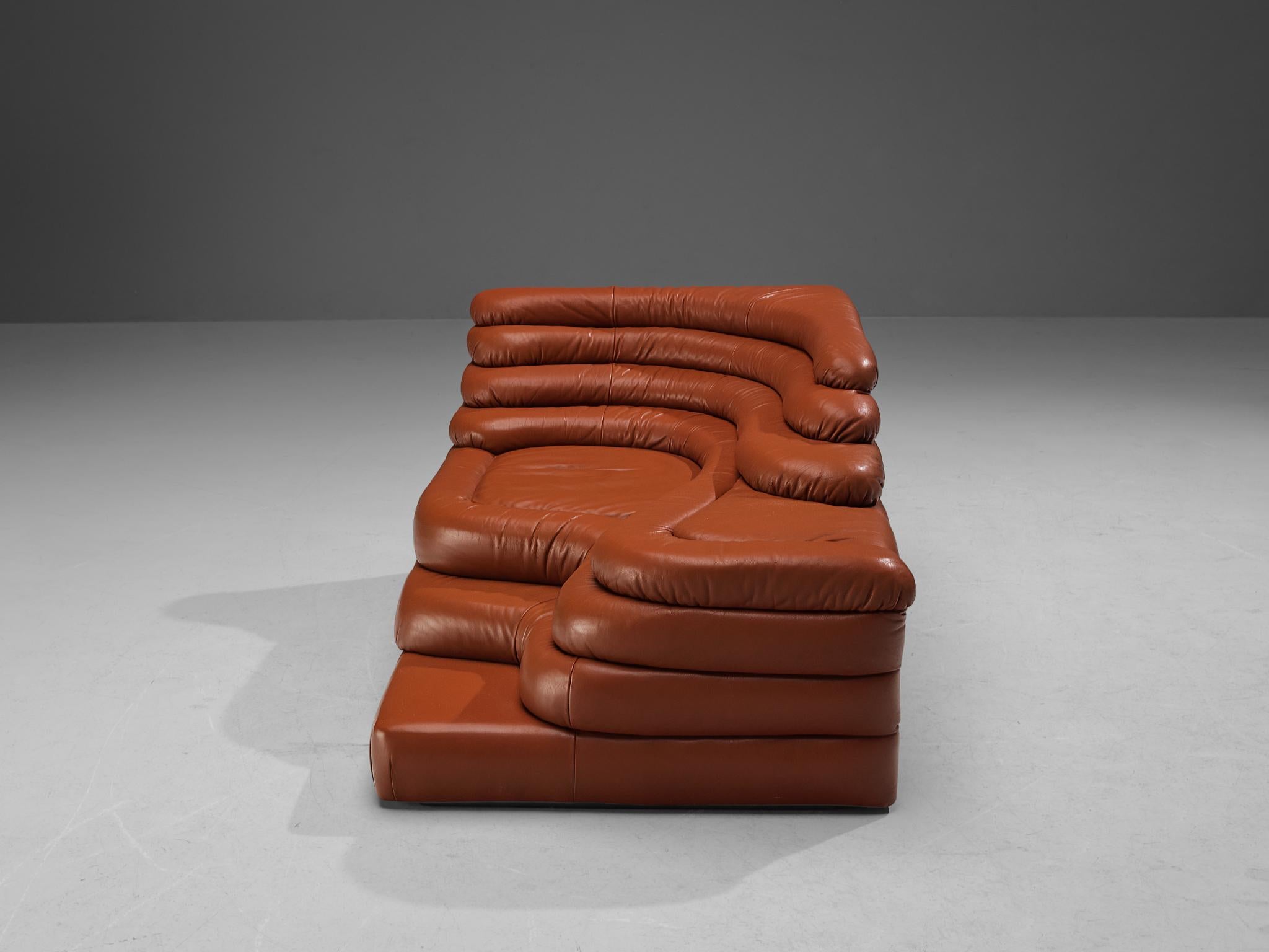 Ubald Klug for De Sede 'Terrazza' Landscapes in Red Leather  5