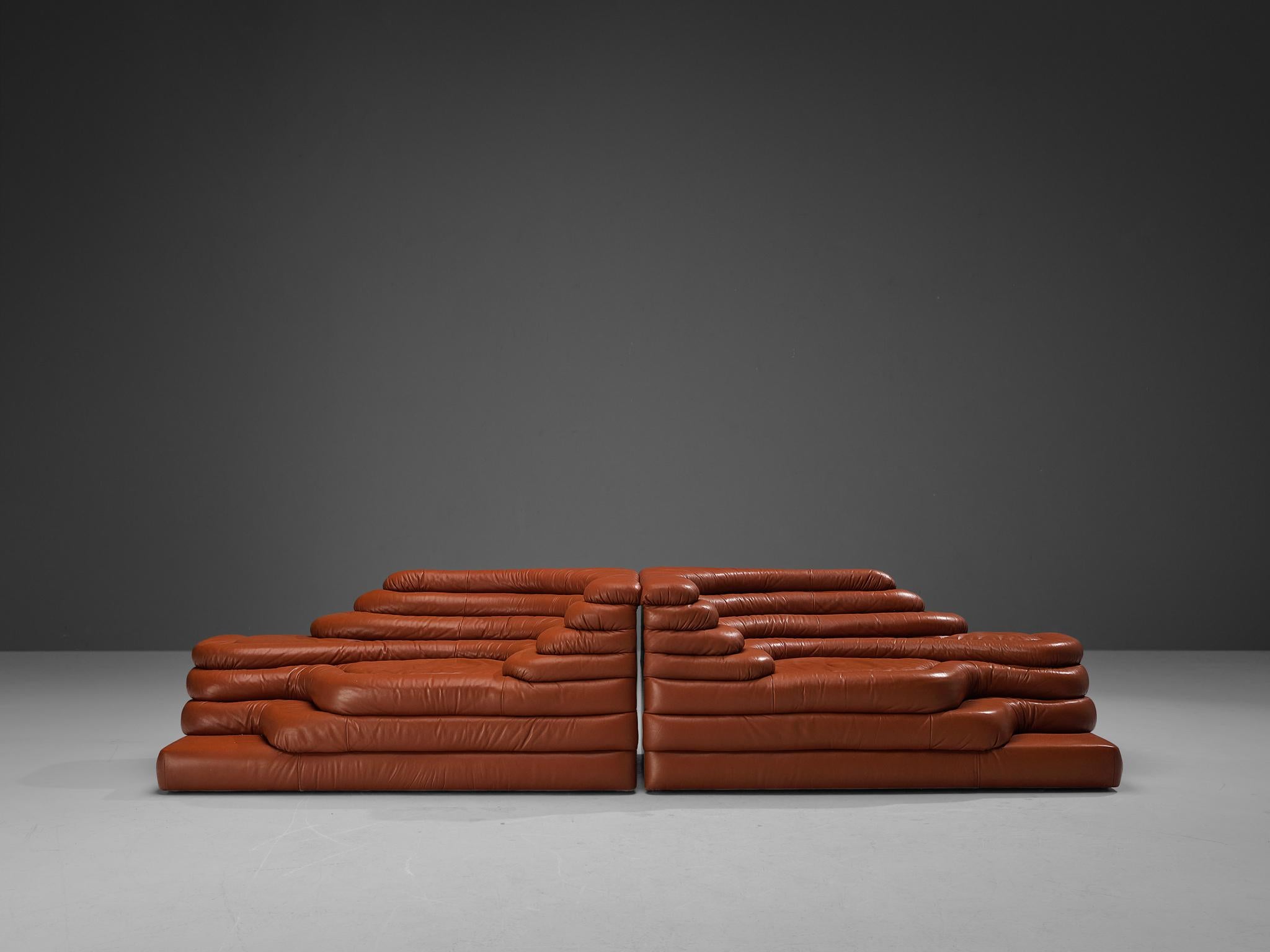 Ubald Klug for De Sede 'Terrazza' Landscapes in Red Leather  2