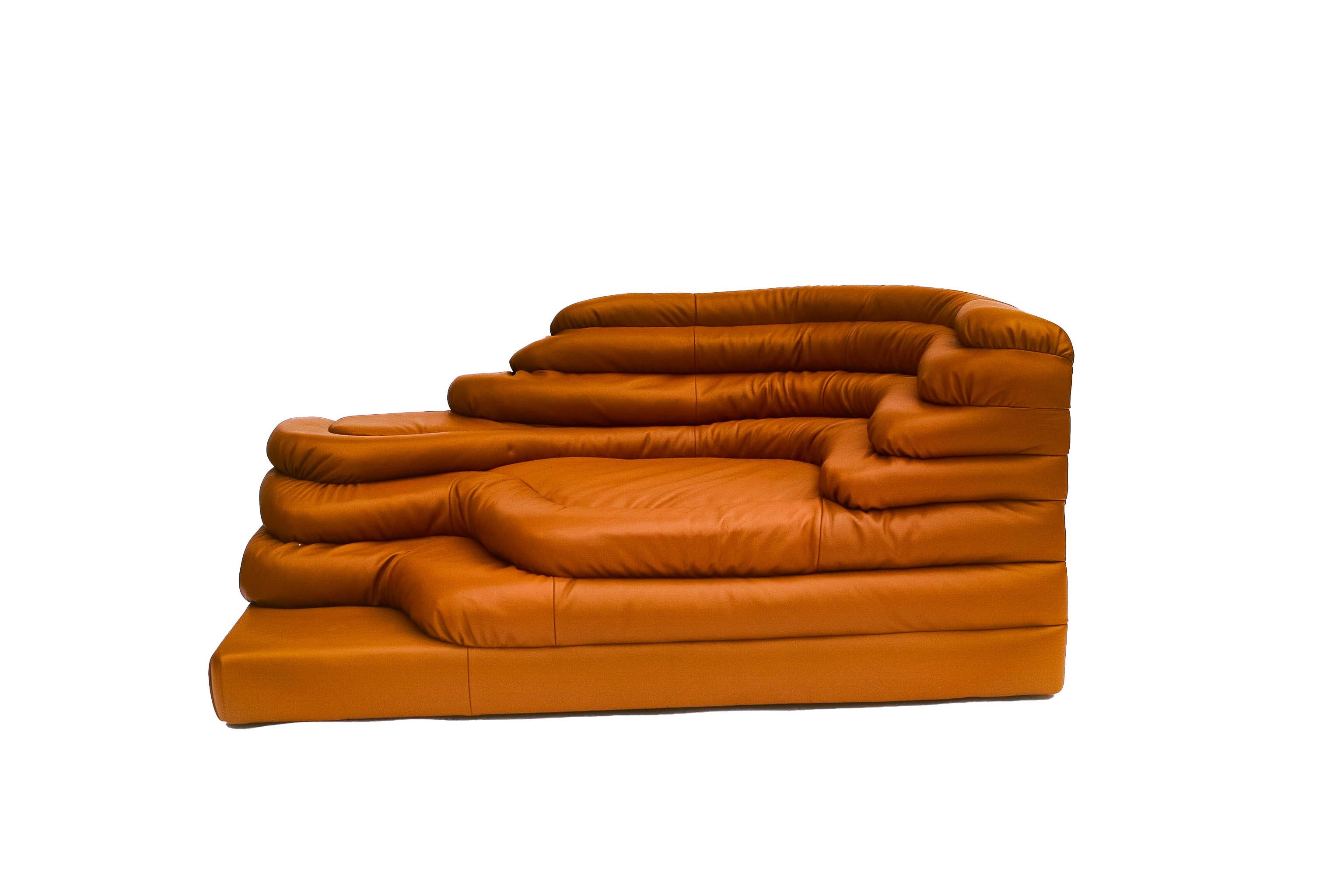 Erhöhen Sie Ihren Raum mit der zeitlosen Eleganz der Ubald Klug Leather Terrazza Couch, gepolstert mit hochwertigem Edelman Leder. Dieses kultige Stück ist für seine exquisite Handwerkskunst und seinen luxuriösen Komfort bekannt und zeugt sowohl von