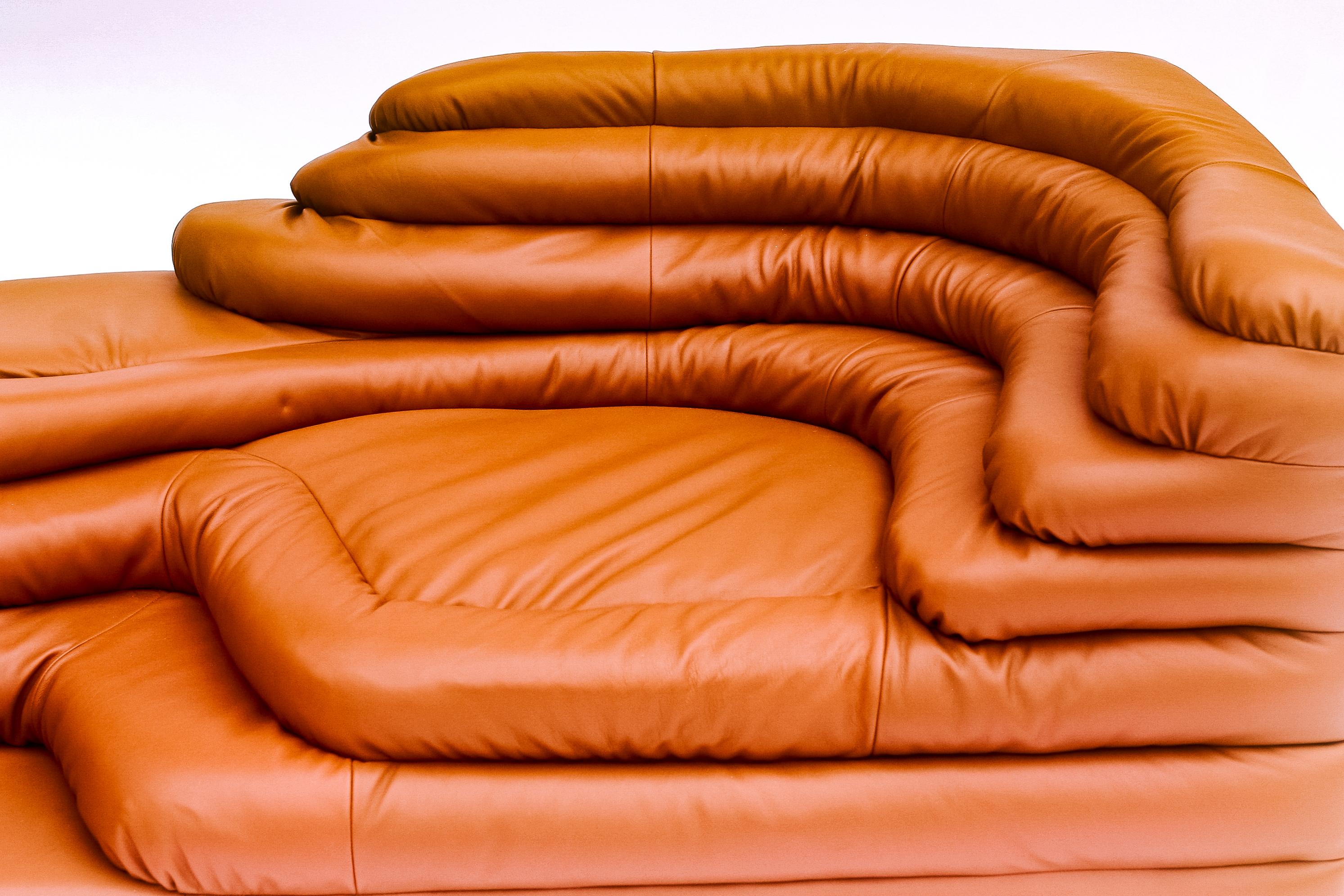 Vintage Ubald Klug Leder Terrazza Couch (Moderne) im Angebot