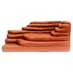 Vintage Ubald Klug Leather Terrazza Couch