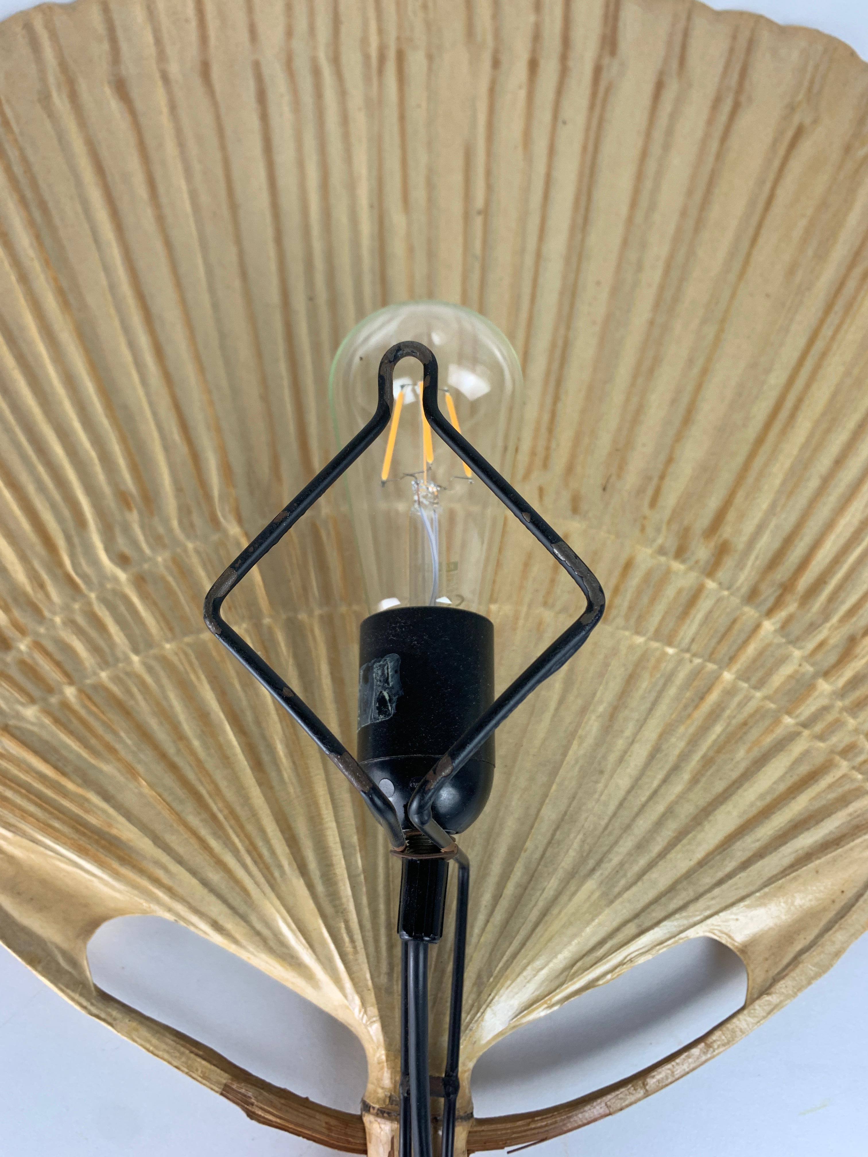 Lampada da parete a ventaglio Uchiwa di Ingo Maurer per Design M, anni '70 10