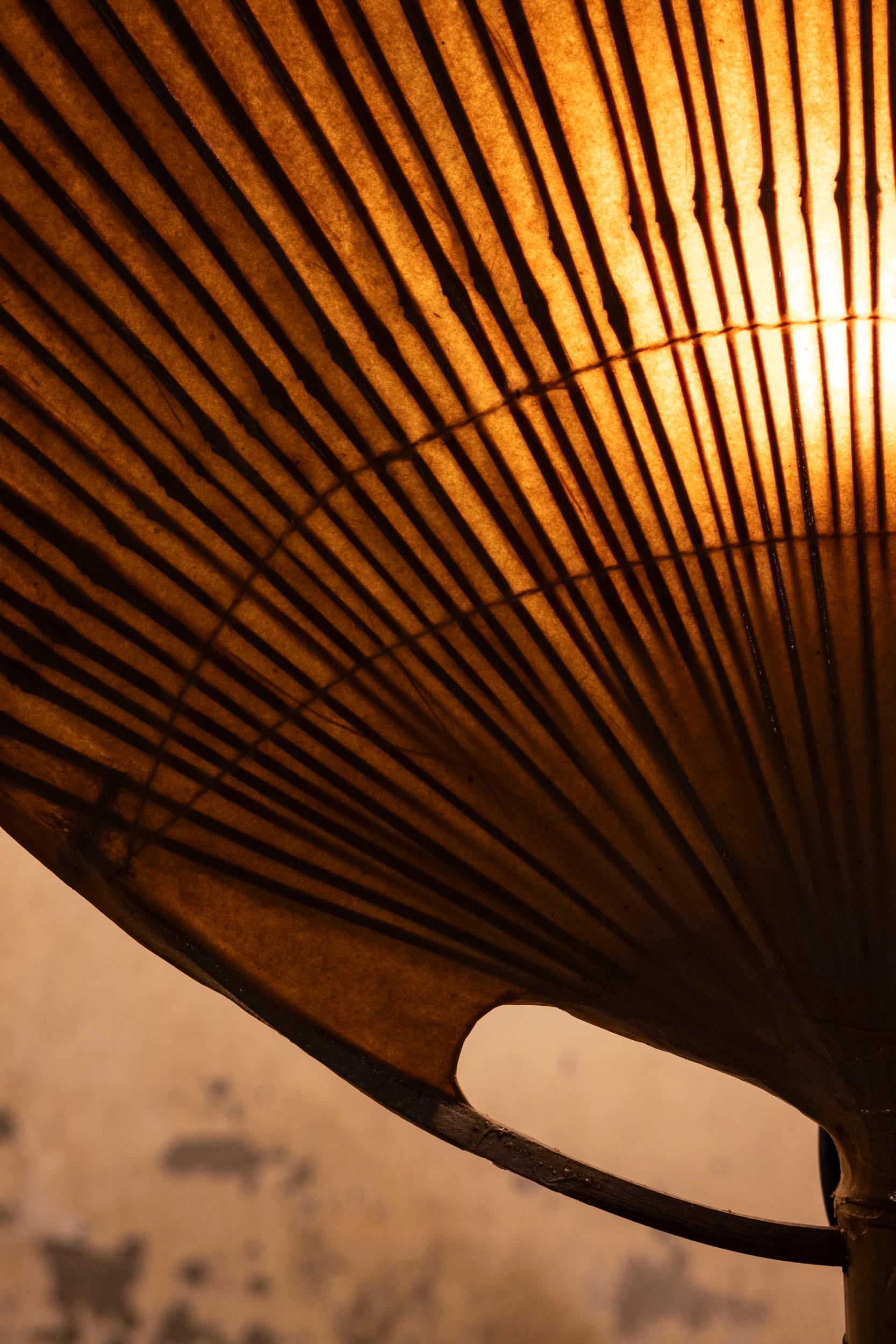 Uchiwa lamp designed by Ingo Maurer 6