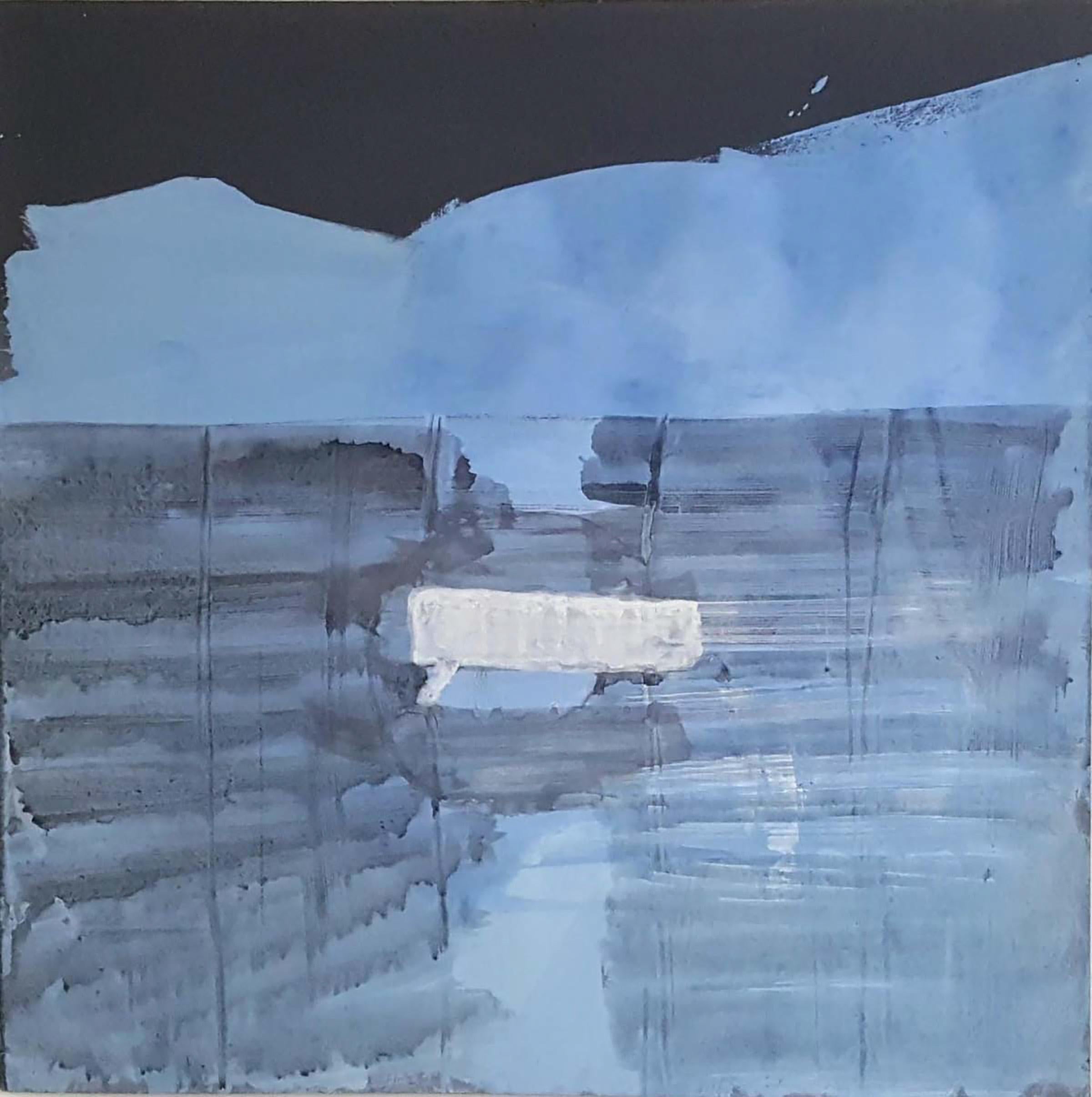 Arte contemporanea israeliana di Udi Cassirer - Asino