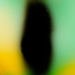Body d'ombre vert et jaune, 100 x 100 cm, édition limitée de 10 exemplaires