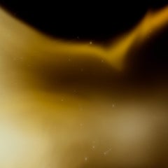 Jaune et noir No.3 - Champ de couleur, 100x100cm, édition limitée à 10 exemplaires.