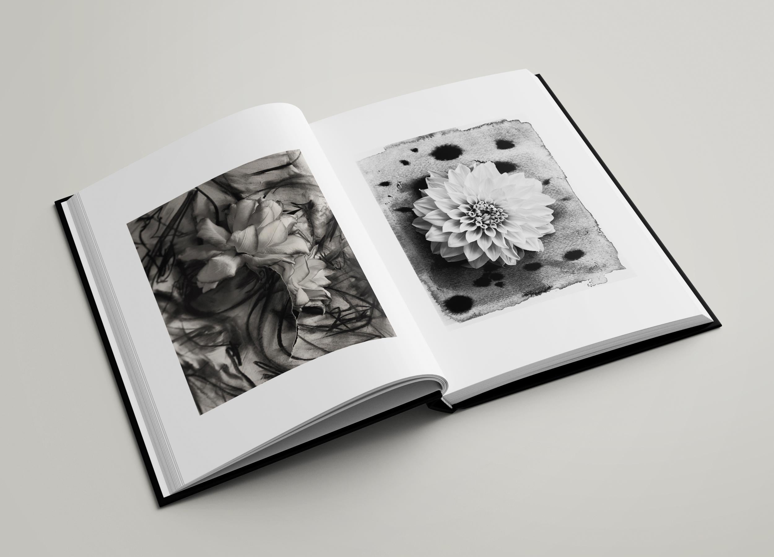 3499 - fotografia d'autore firmata con copia del libro 