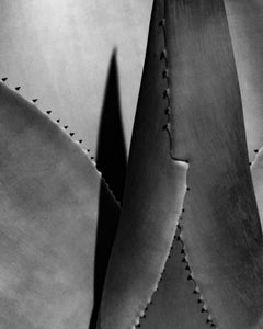 Agave nº 2 - abstracción monocroma, de edición limitada a 20 ejemplares