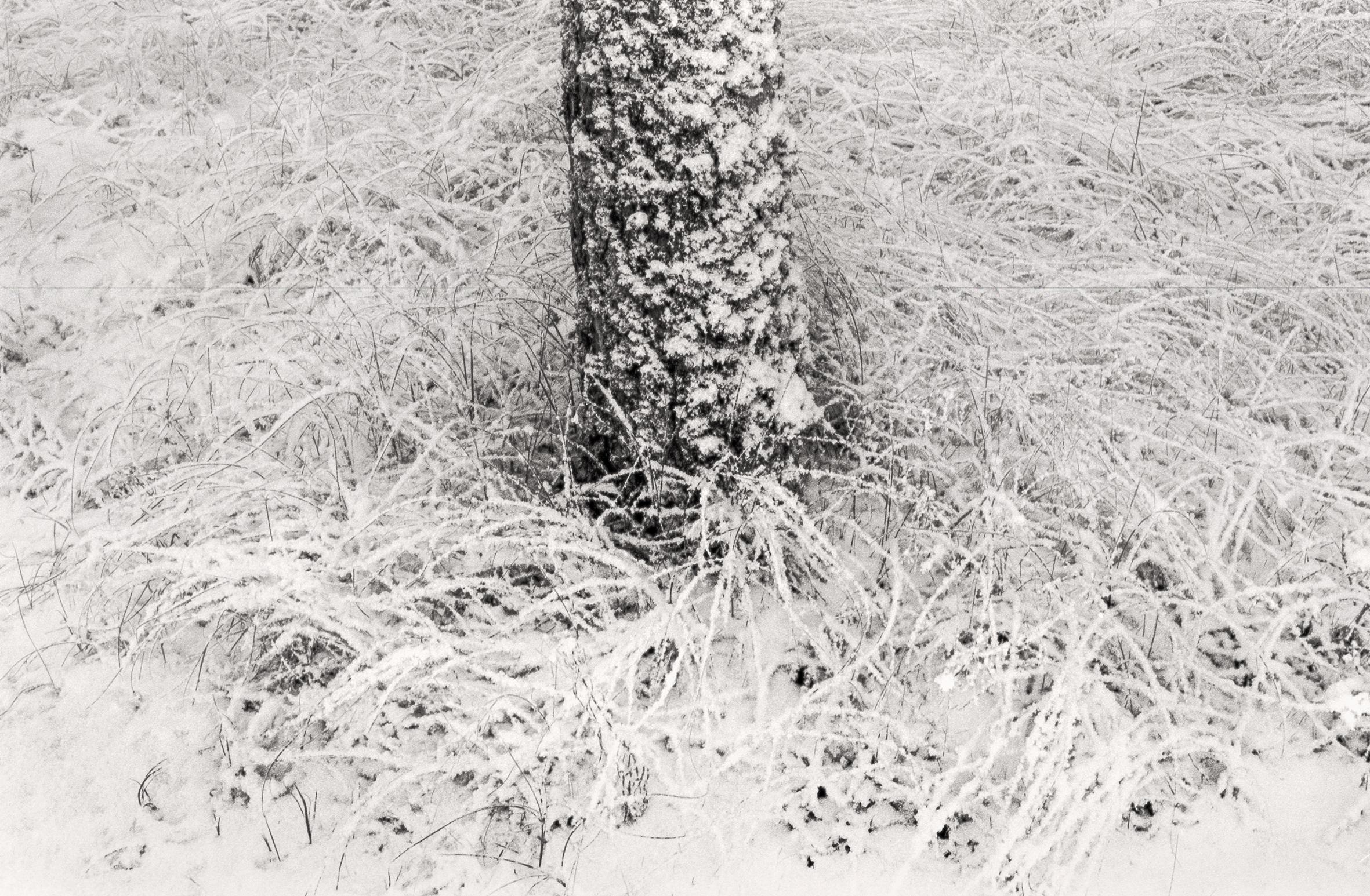 Ugne Pouwell Landscape Photograph – „Baltic Freeze #2“ – Schwarz-Weiß- analoge Landschaftsfotografie in Schwarz-Weiß 100 x 65 cm