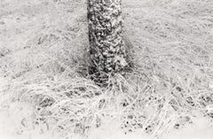 Gelée baltique #2" - photographie de paysage analogique en noir et blanc 100 x 65 cm