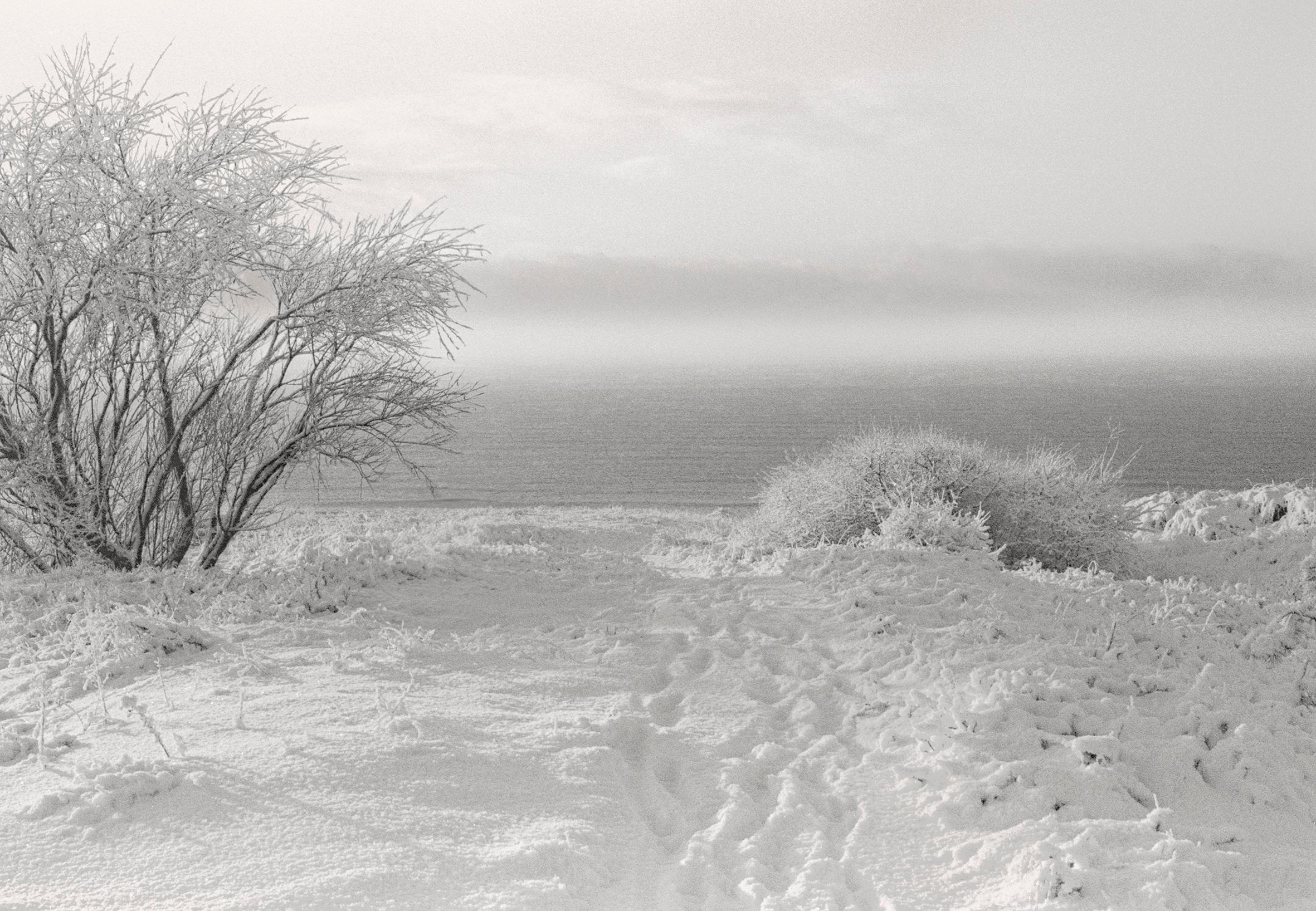 Ugne Pouwell Landscape Photograph – „Baltic Freeze #3“ – Schwarz-Weiß- analoge Landschaftsfotografie in Schwarz-Weiß 42 x 29 cm