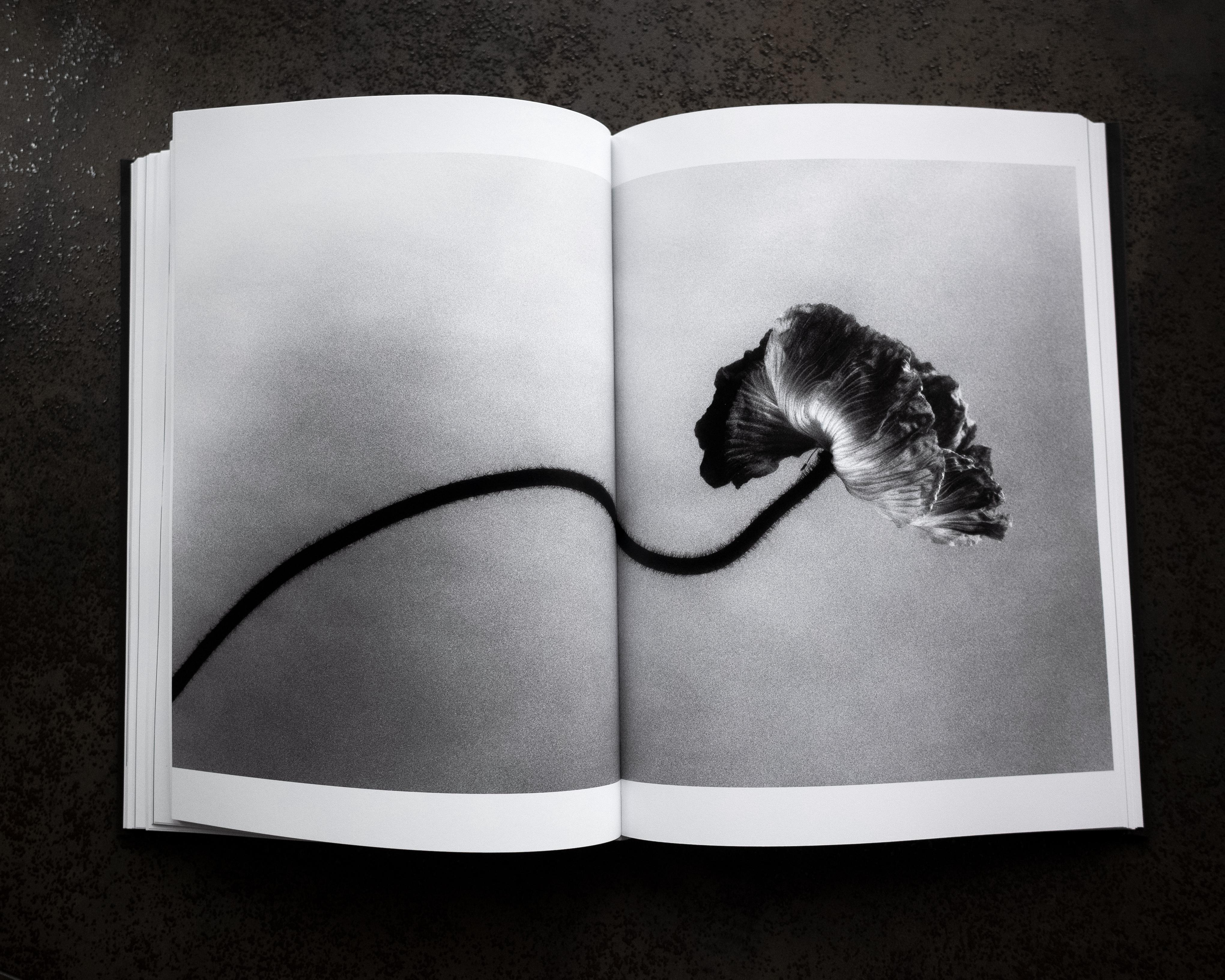 Released in spring 2025, Solace is a 192-page hardback by Ugnė Pouwell presenting a composed sequence of black-and-white still life, abstract studies, landscapes and portraits, interspersed with brief artist writings. Printed on archival fine-art