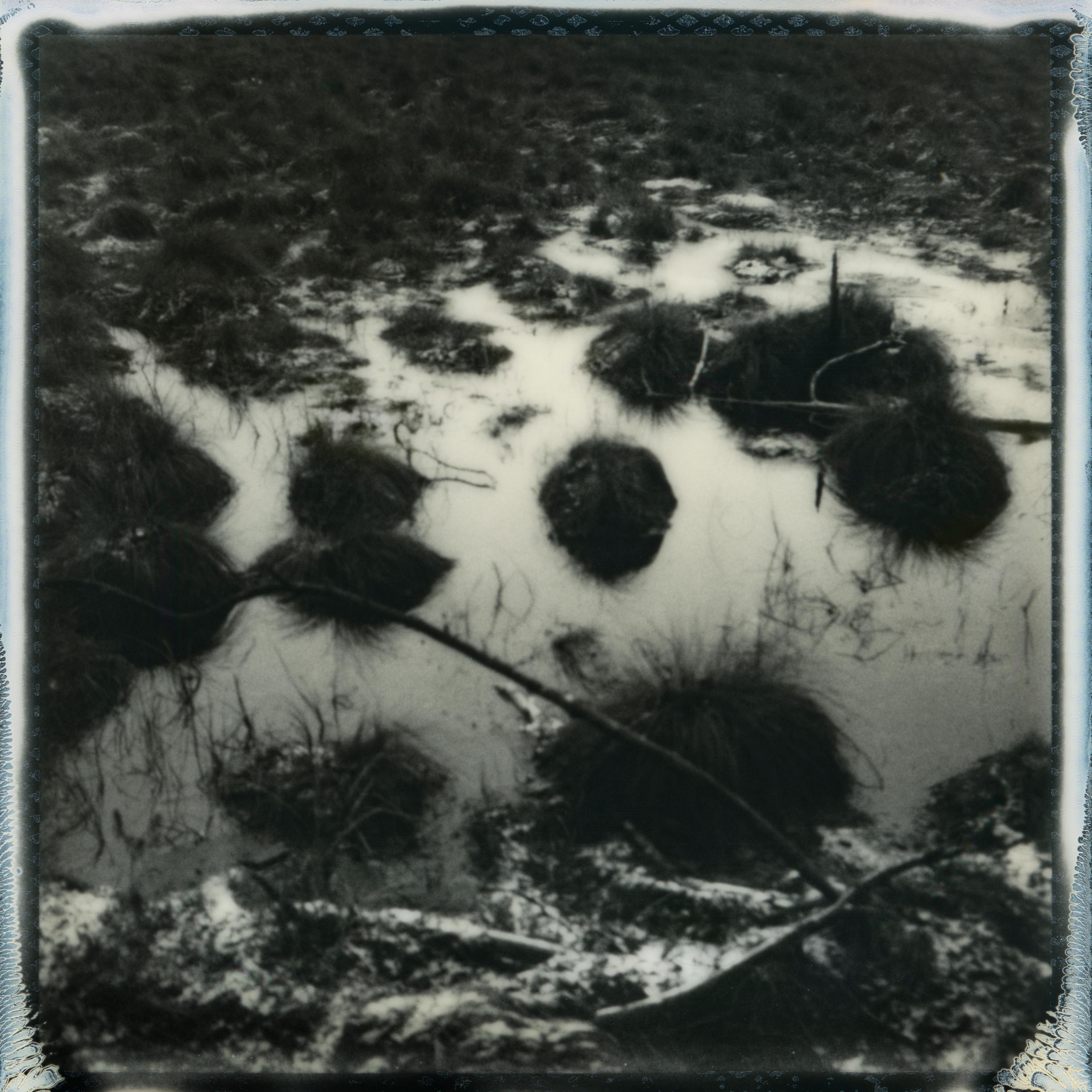 Zones humides de la Baltique - photographie polaroïd de paysages, édition limitée à 10 exemplaires