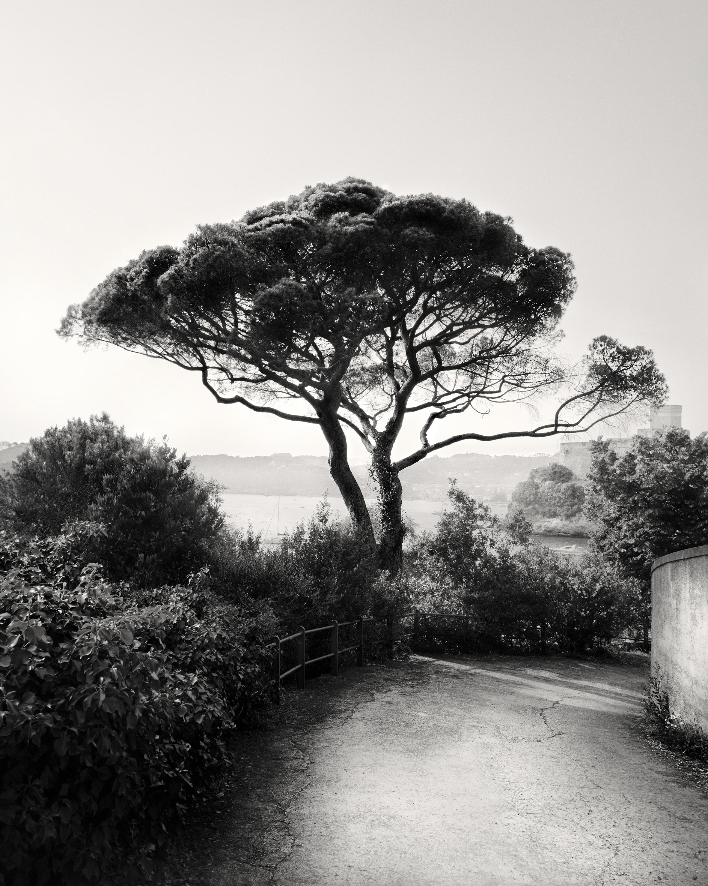 Ugne Pouwell Black and White Photograph – Bay of Poets - Schwarz-Weiß- analoge Fotograpie der italienischen Küste, 100 x 80 cm