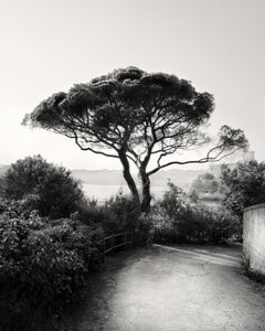 Baia dei Poeti - fotografia analogica in bianco e nero della costa italiana, 40x32cm