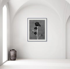 Black blooms - analogue black and white floral photography, limited edition 10