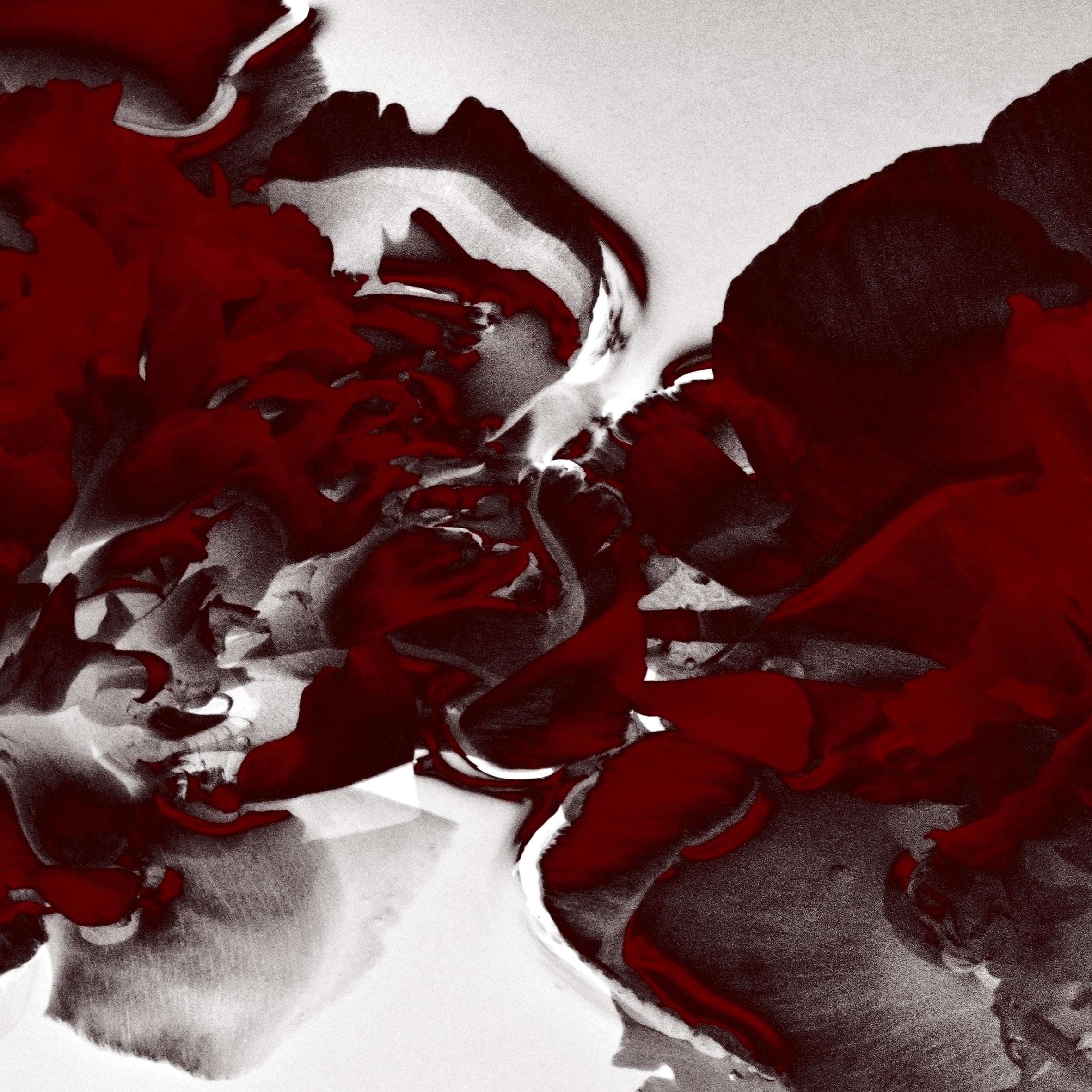 Abstract Photograph di Ugne Pouwell - Blooms in Red - abstract analog colour photography, limited edition of 20