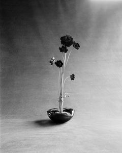 Blooms in Vase – analoge schwarz-weiße Blumenfotografie, limitierte Auflage 20 Stück