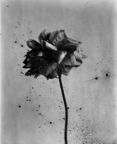 Black and White Photography
