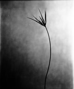 Black and White Photography