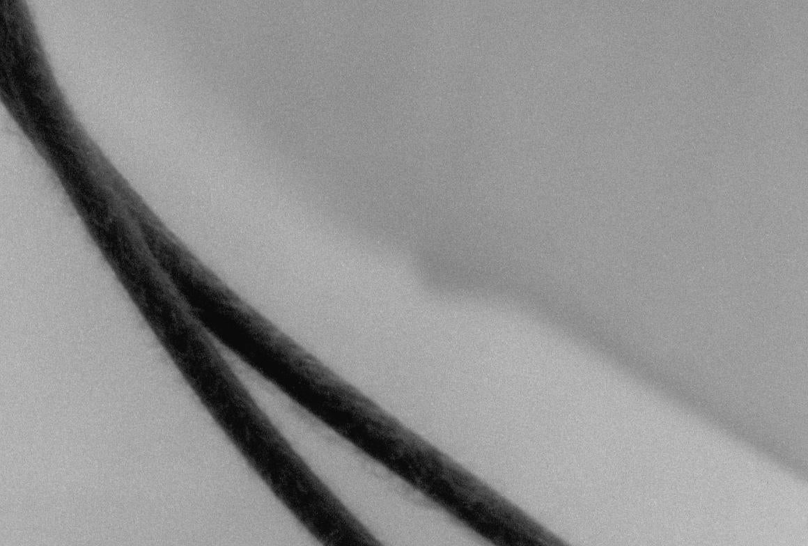 Papaveri accoppiati - fotografia floreale in bianco e nero, edizione limitata a 3 di 20 esemplari - Still-Life Photograph Grigio di Ugne Pouwell