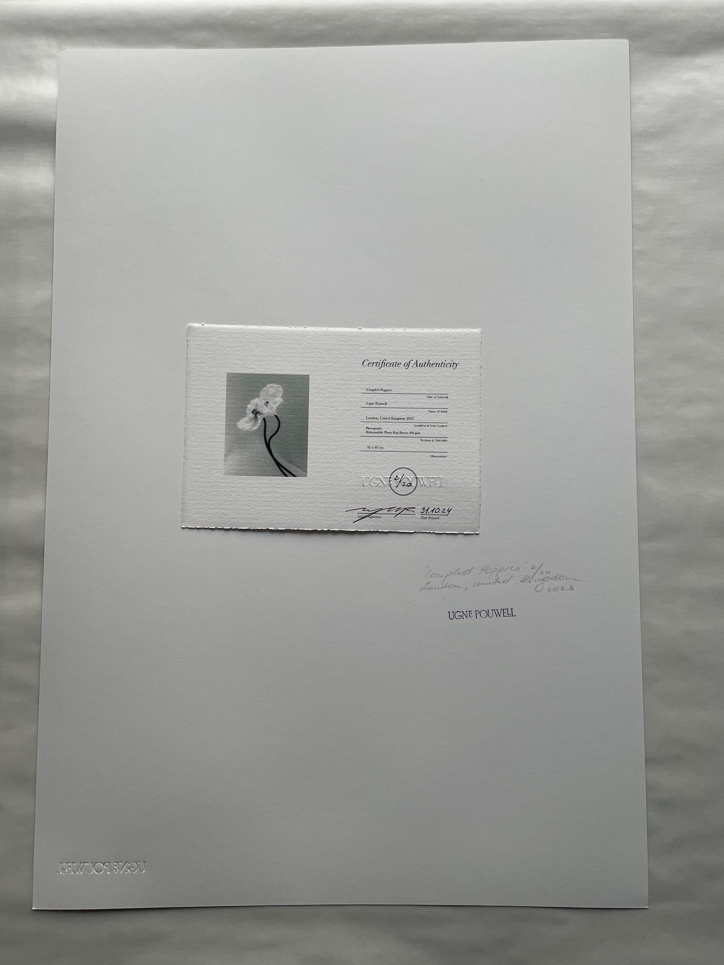 'Papaveri accoppiati' fotografati a Londra, Regno Unito 2023.

Si tratta di una fotografia di natura morta in bianco e nero, realizzata con una macchina fotografica Linhof 4x5 di grande formato.

Stampate su carta Hahnemühle photo rag Baryta 308