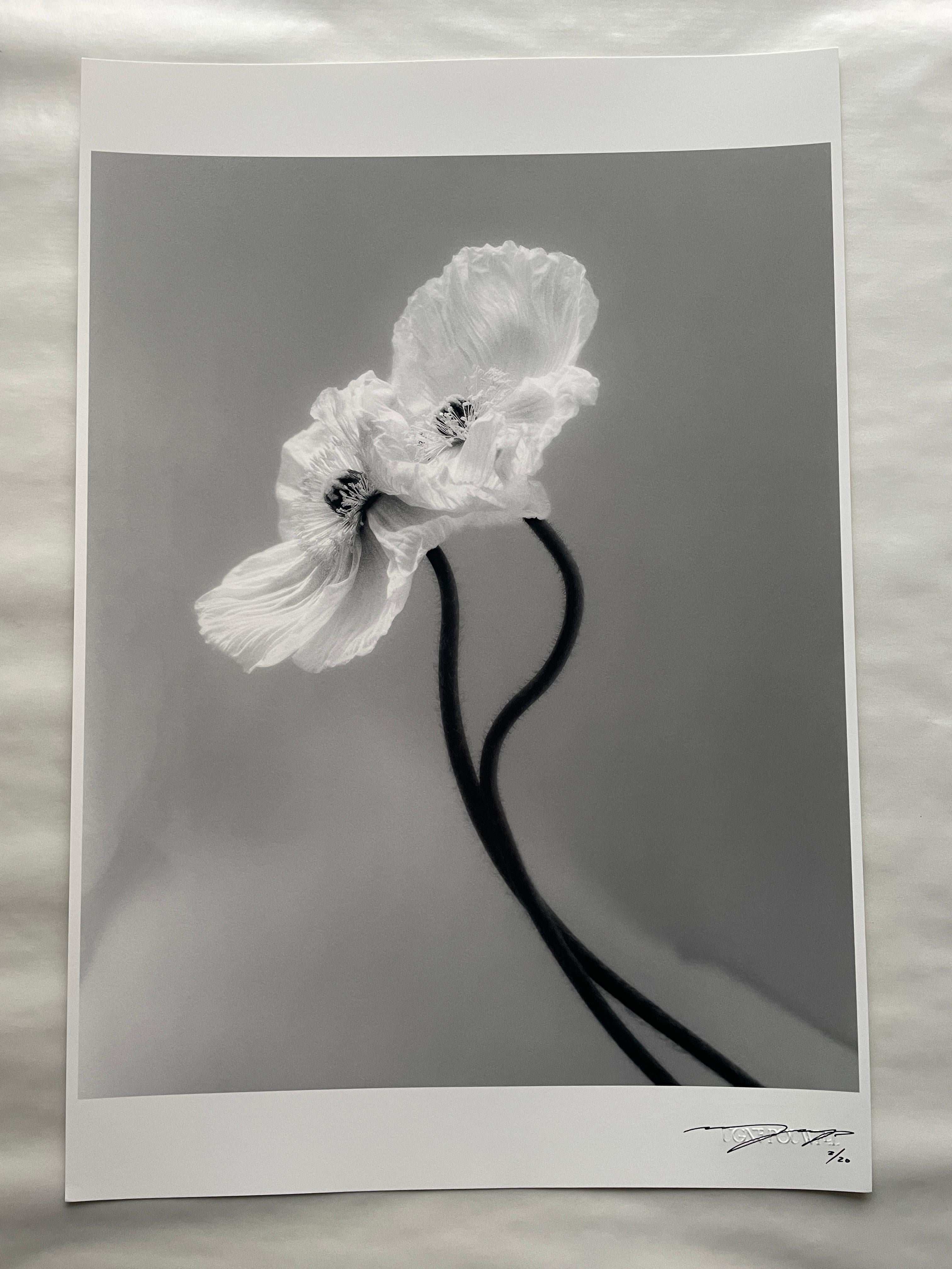 Papaveri accoppiati - fotografia floreale in bianco e nero, edizione limitata a 3 di 20 esemplari in vendita 1