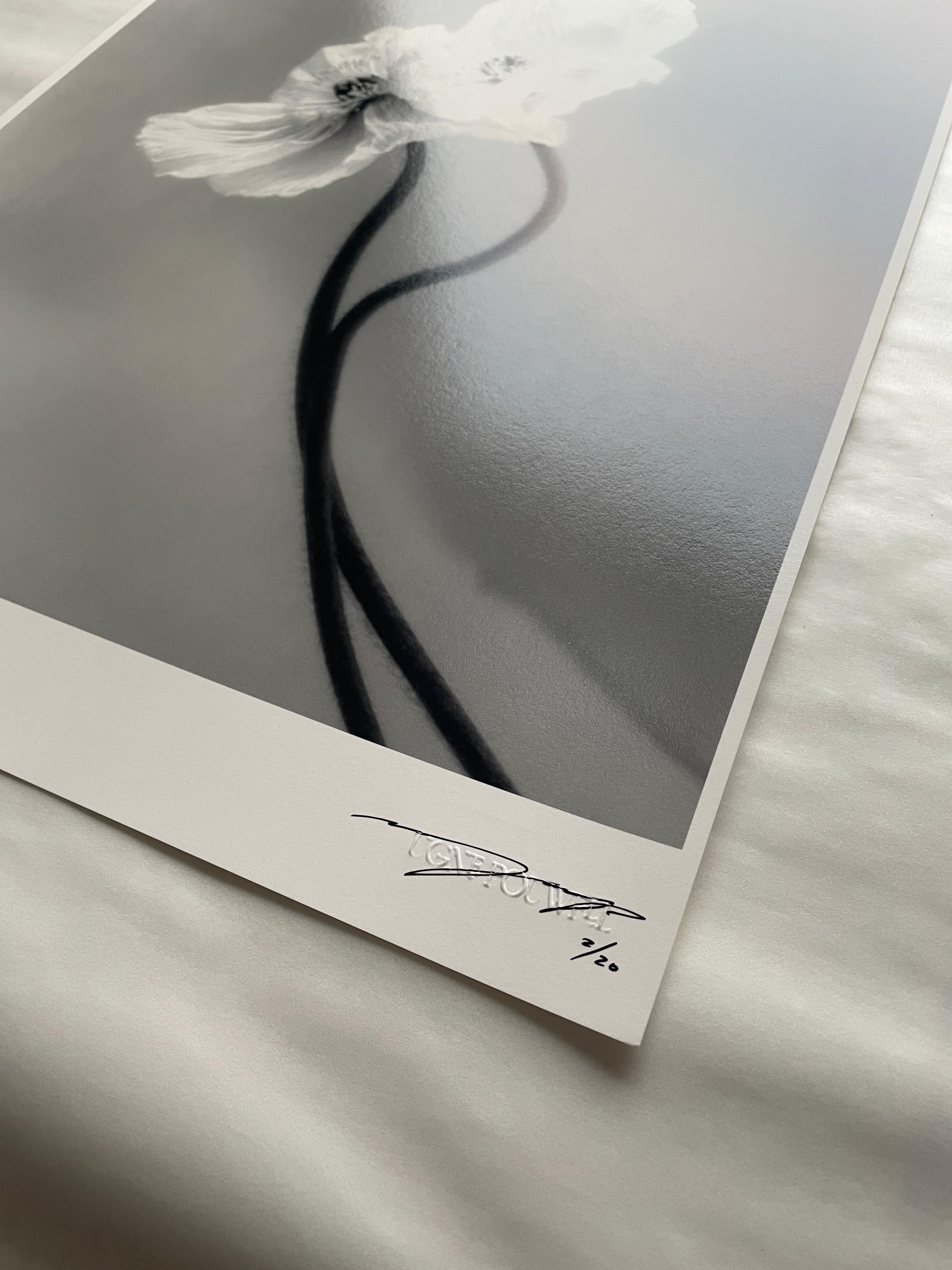 Papaveri accoppiati - fotografia floreale in bianco e nero, edizione limitata a 3 di 20 esemplari in vendita 3