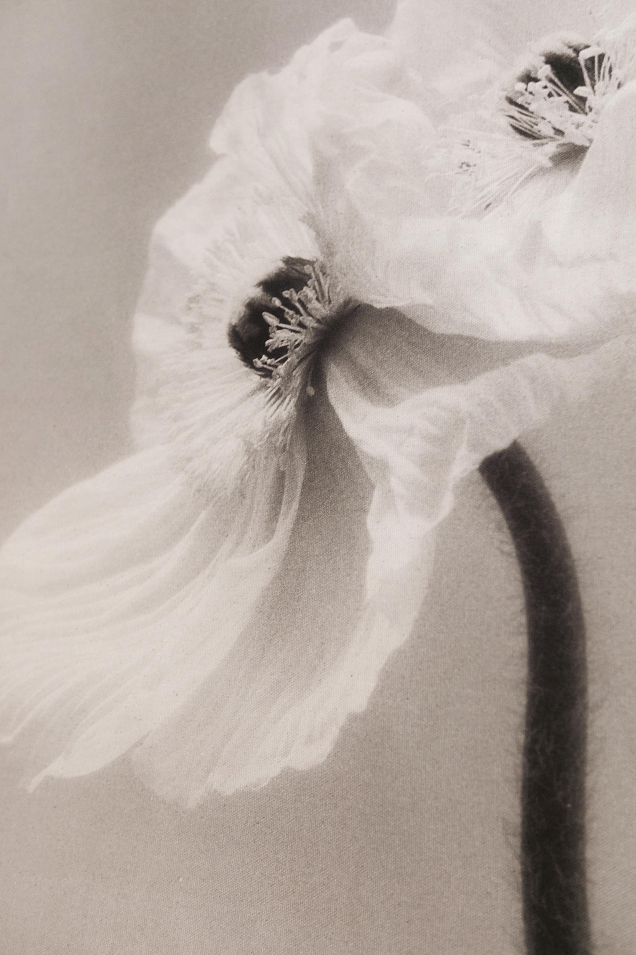 Coupled Poppies - organic cotton canvas scroll on bamboo, limited edition 2 of 5 - Photograph by Ugne Pouwell