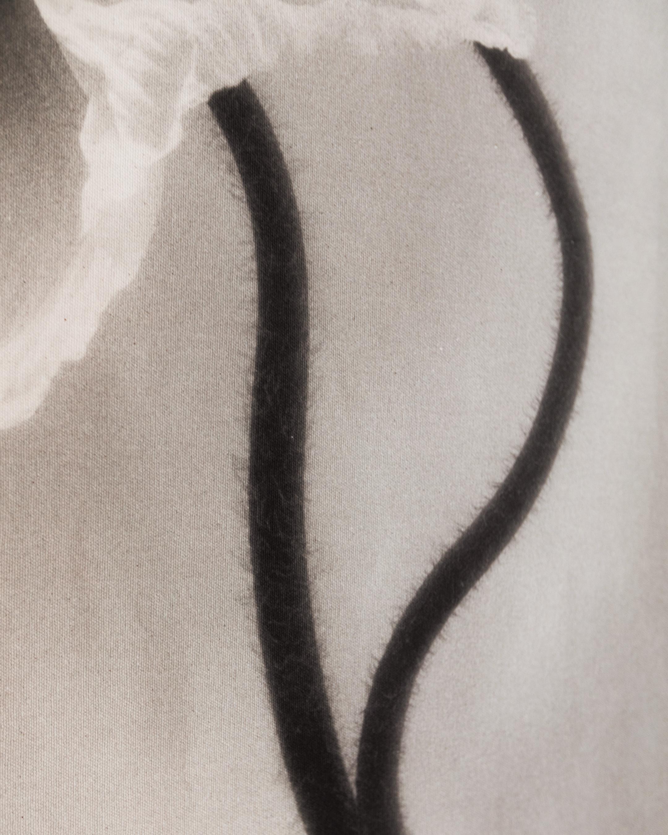 Coupled Poppies - organic cotton canvas scroll on bamboo, limited edition 4 of 5 - Naturalistic Photograph by Ugne Pouwell