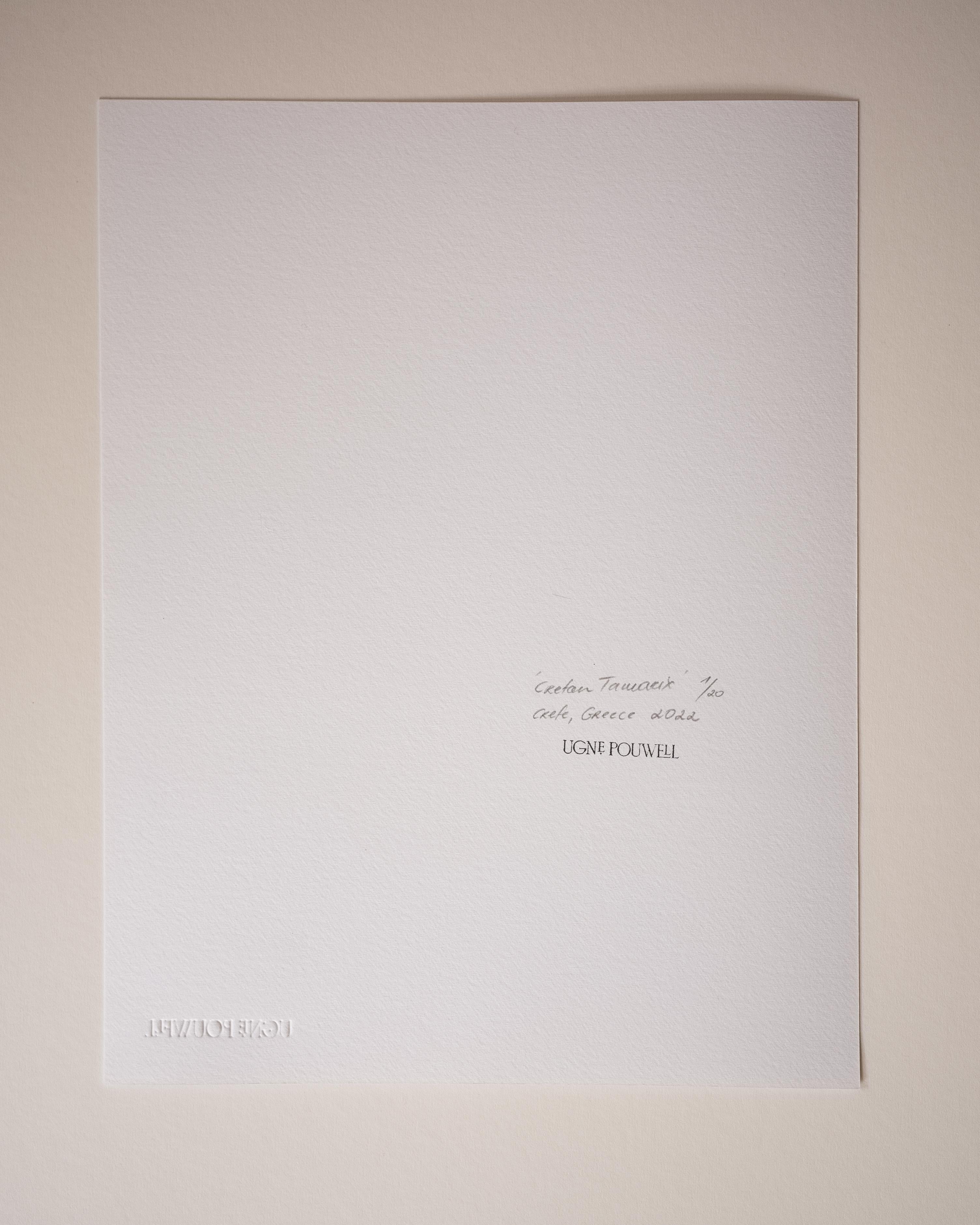 Kretische Tamarinde  Schwarz-Weiß-Fotografie, limitierte Auflage 2 von 20 Stück im Angebot 1
