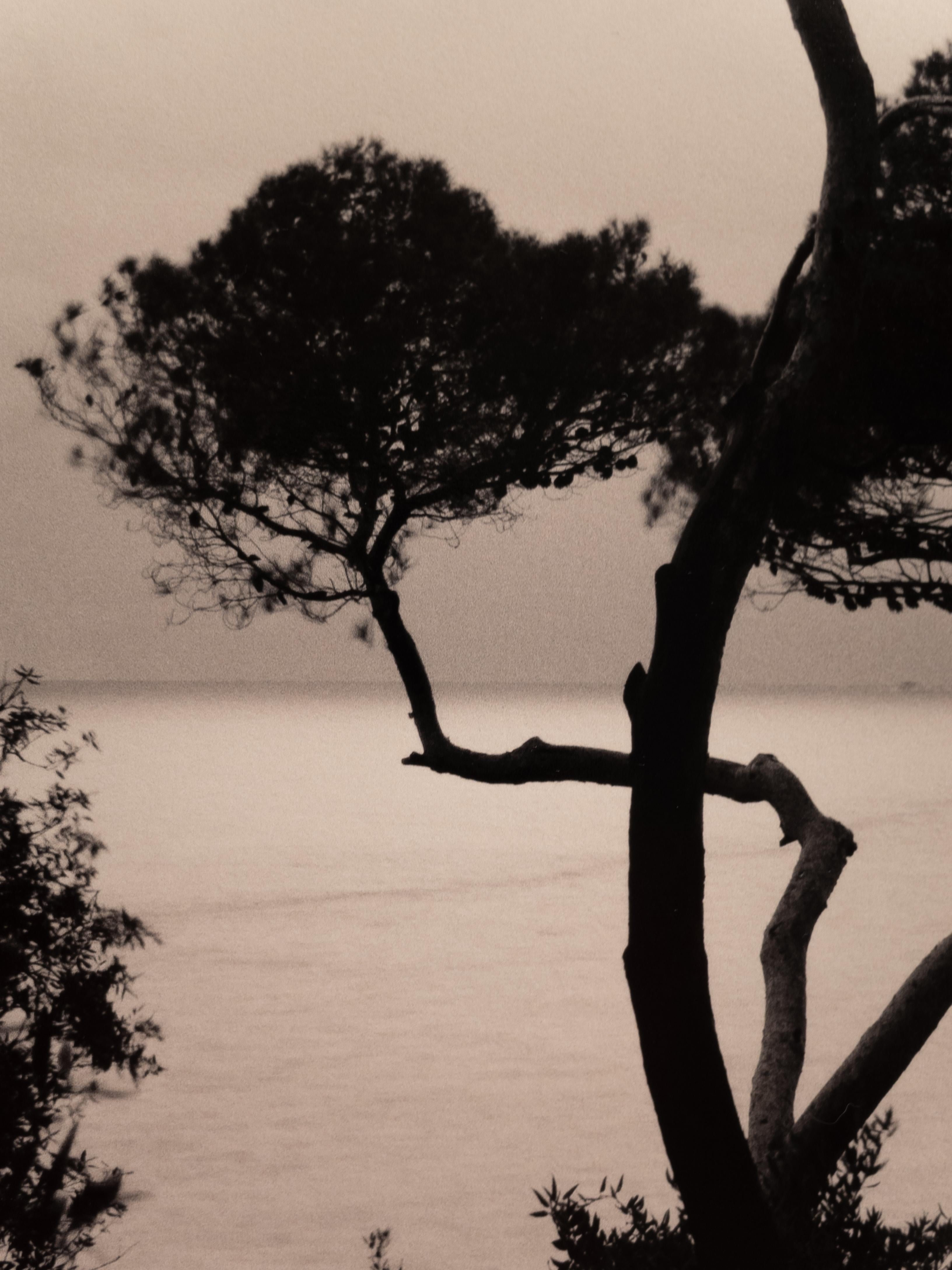 Currents - analogue landscape photography of Italian riviera - Photograph by Ugne Pouwell
