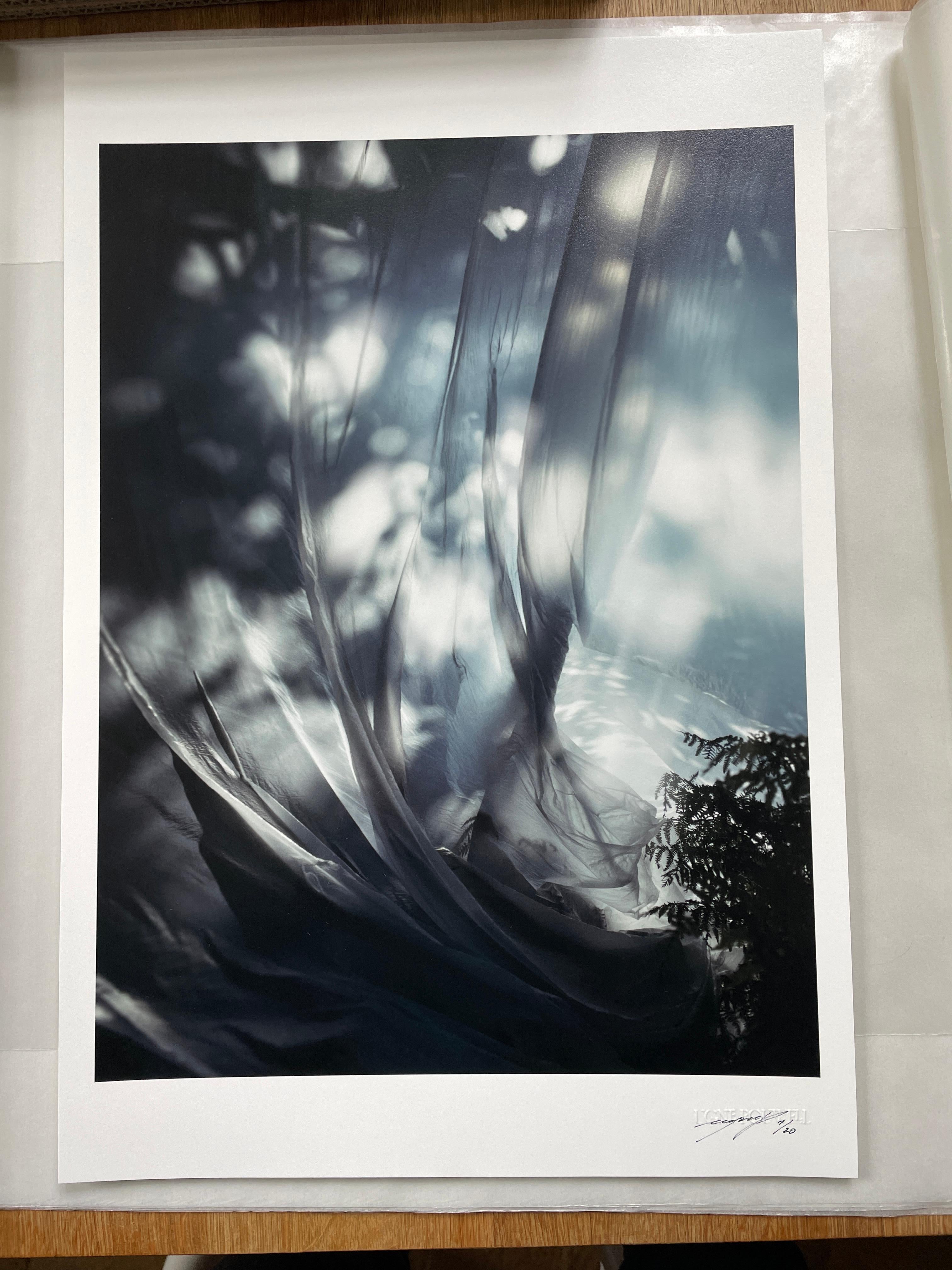 Daydream – abstrakte Farbfotografie Limitierte Auflage von 20 Stück – Photograph von Ugne Pouwell