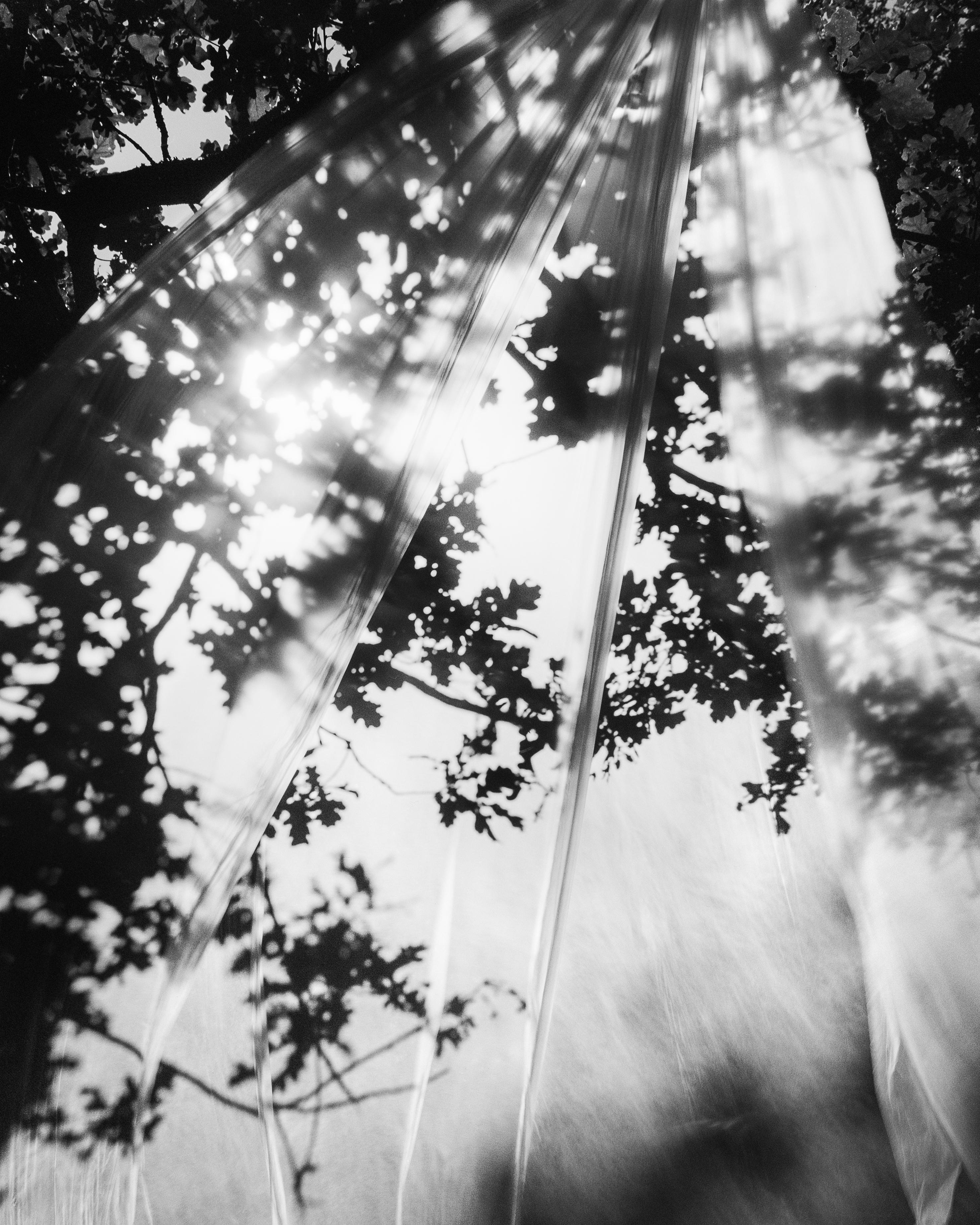 Daydream - Schwarz-Weiß-Landschaftsfotografie Limitierte Auflage von 20 Stück