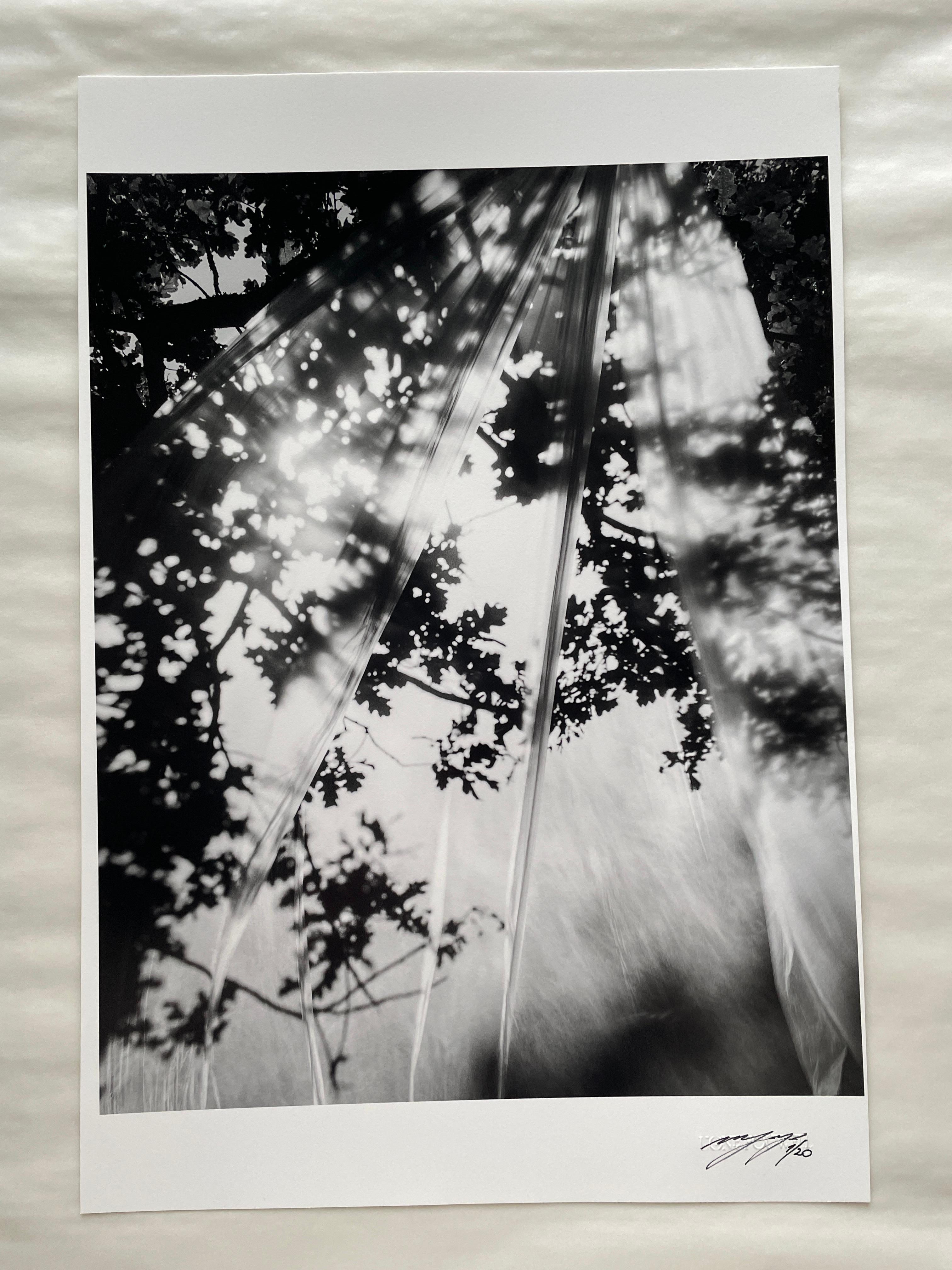 Daydream – abstrakte Schwarz-Weiß-Fotografie, limitierte Auflage 2 von 20 Stück – Photograph von Ugne Pouwell