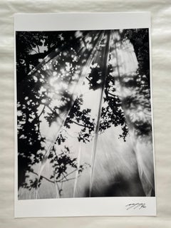 Daydream - abstract black and white photography, Limited edition 2 of 20