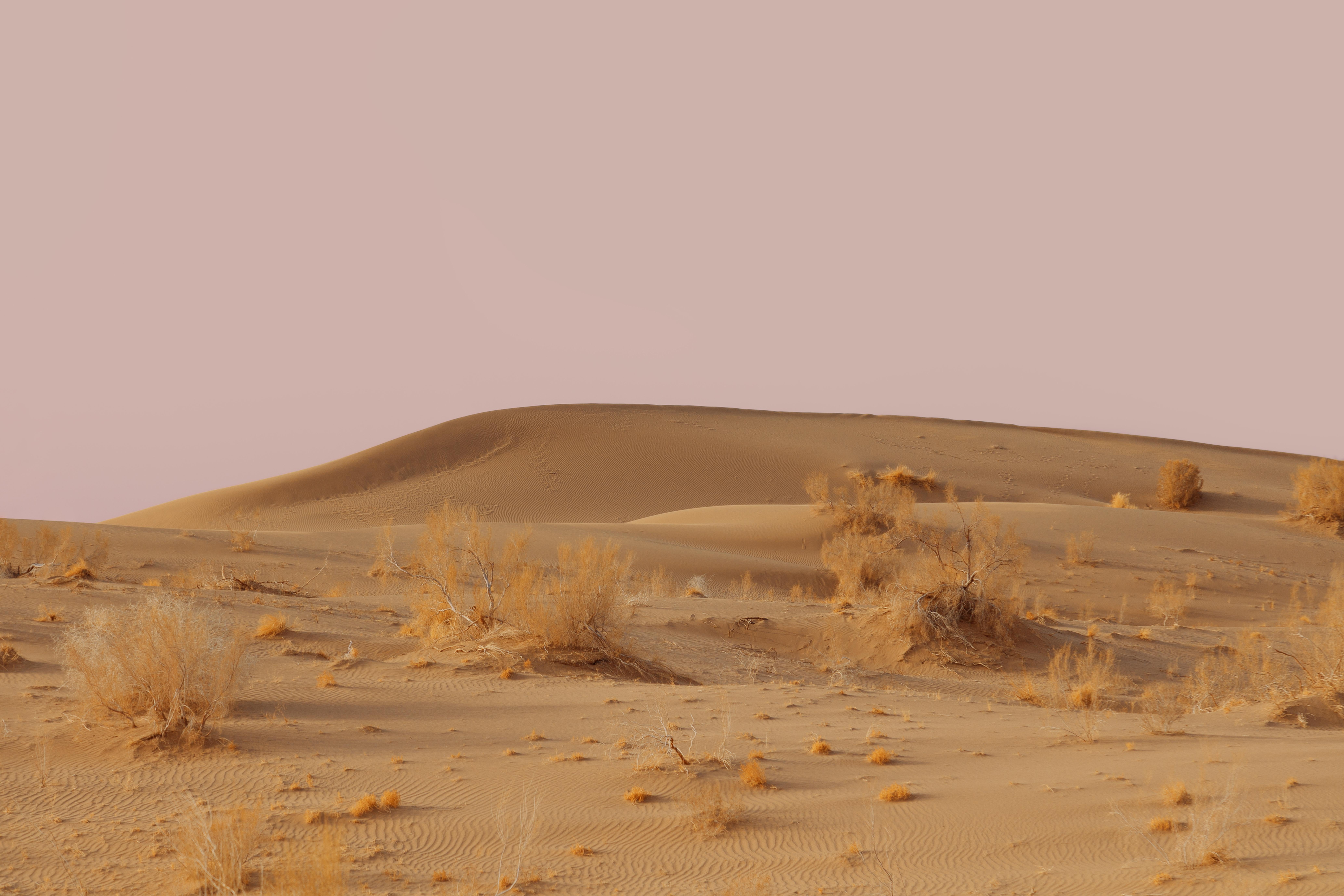 Landscape Photograph Ugne Pouwell - Rose du désert