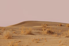 Desert pink