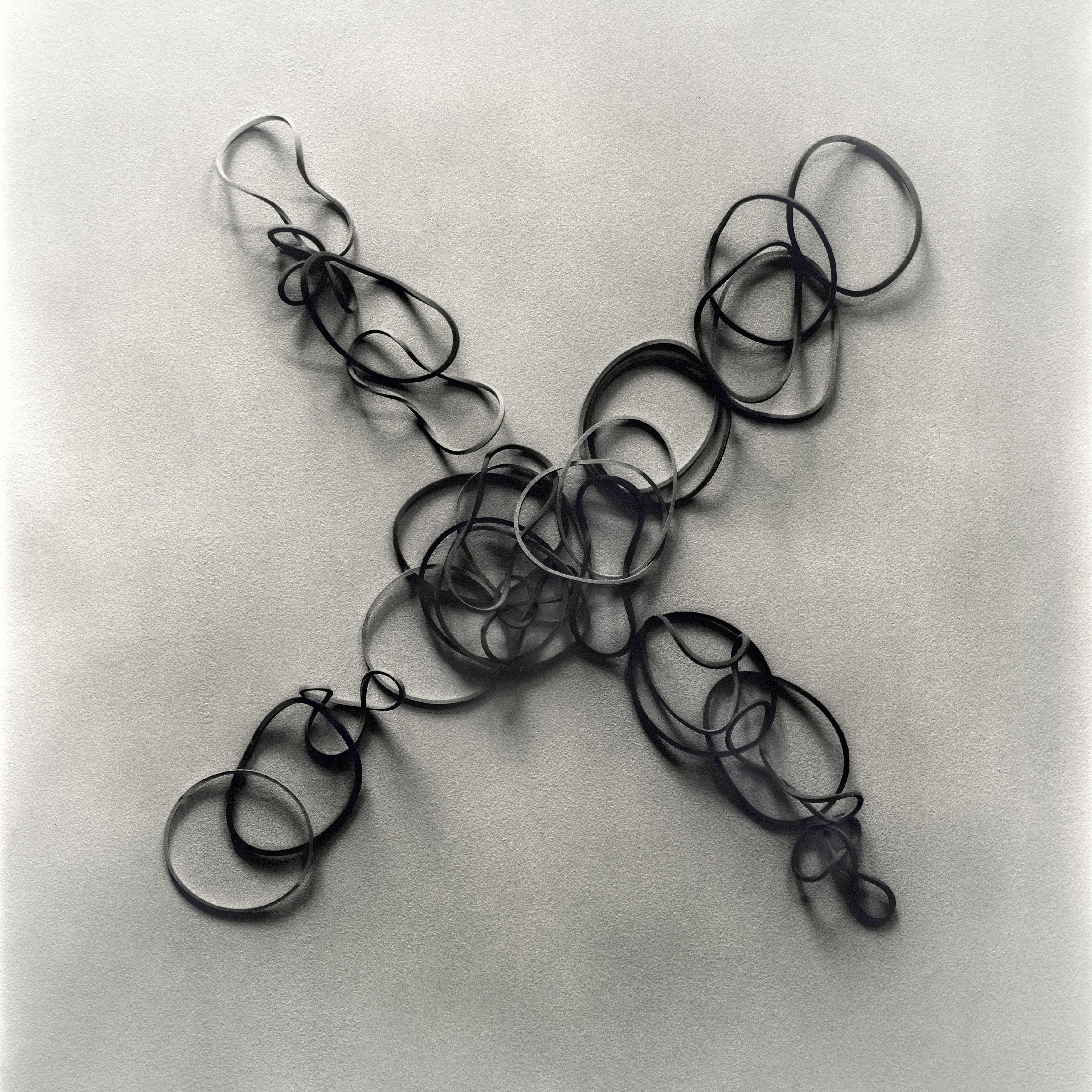 Ugne Pouwell Still-Life Photograph – Divided - Stillleben in Schwarz-Weiß, limitierte Auflage von 10 Stück