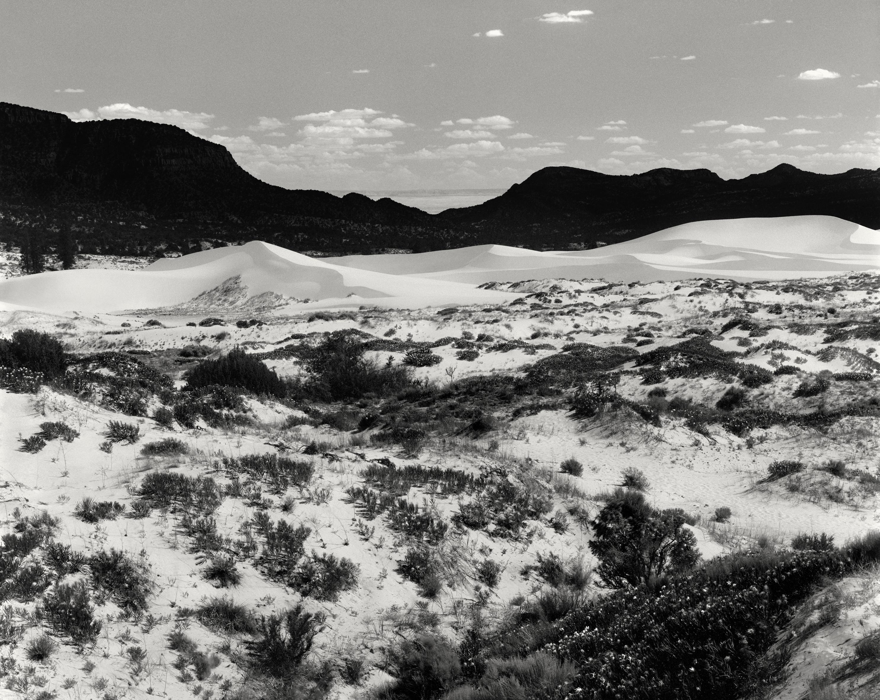 Ugne Pouwell Landscape Photograph – Dunes – Schwarz-Weiß-Sand-Dunkel-Landschaftsfotografie, limitierte Auflage von 10 Stück
