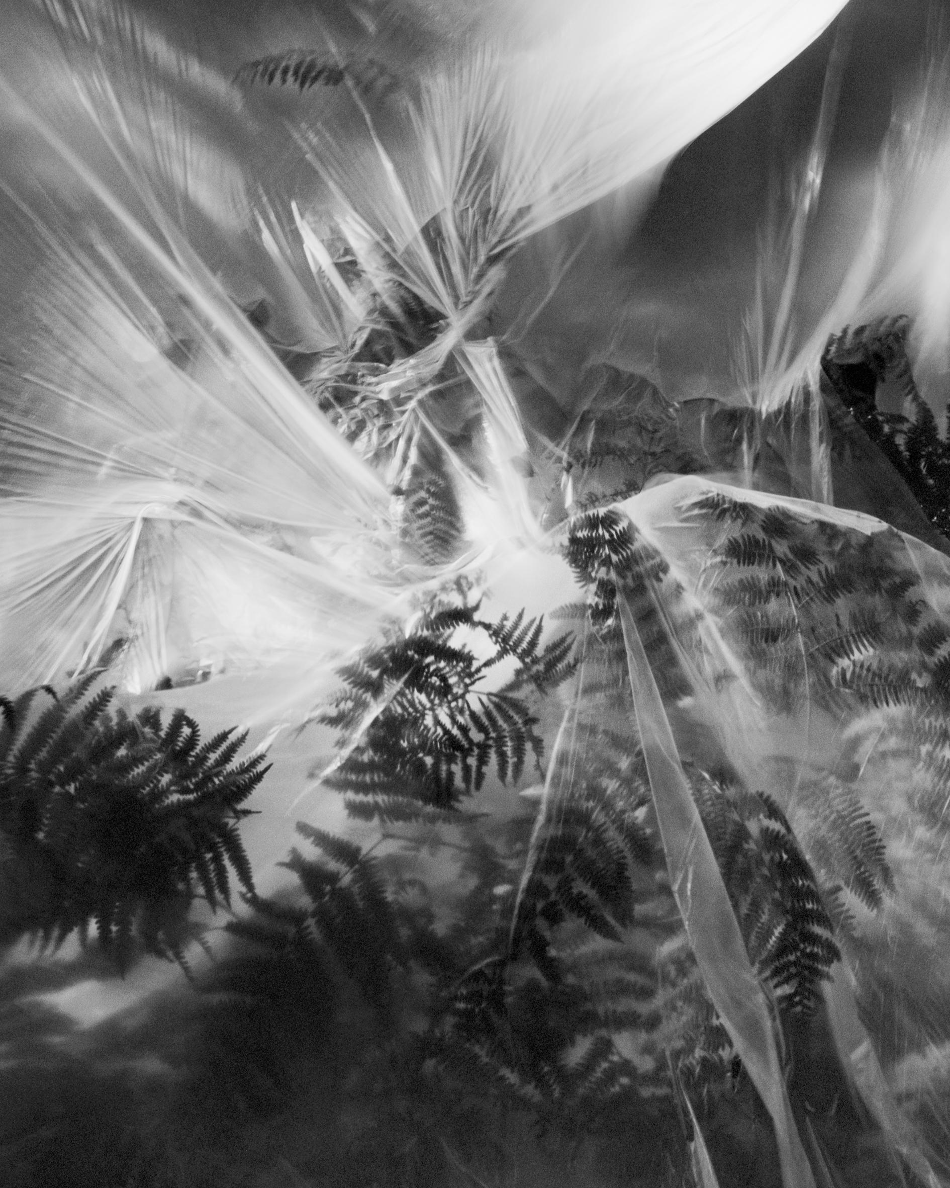 Ugne Pouwell Black and White Photograph – Fern – Schwarz-Weiß-Landschaftsfotografie Limitierte Auflage von 20 Stück