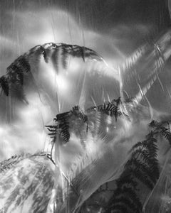 Fern No.2 – Schwarz-Weiß-Landschaftsfotografie Limitierte Auflage von 20 Stück